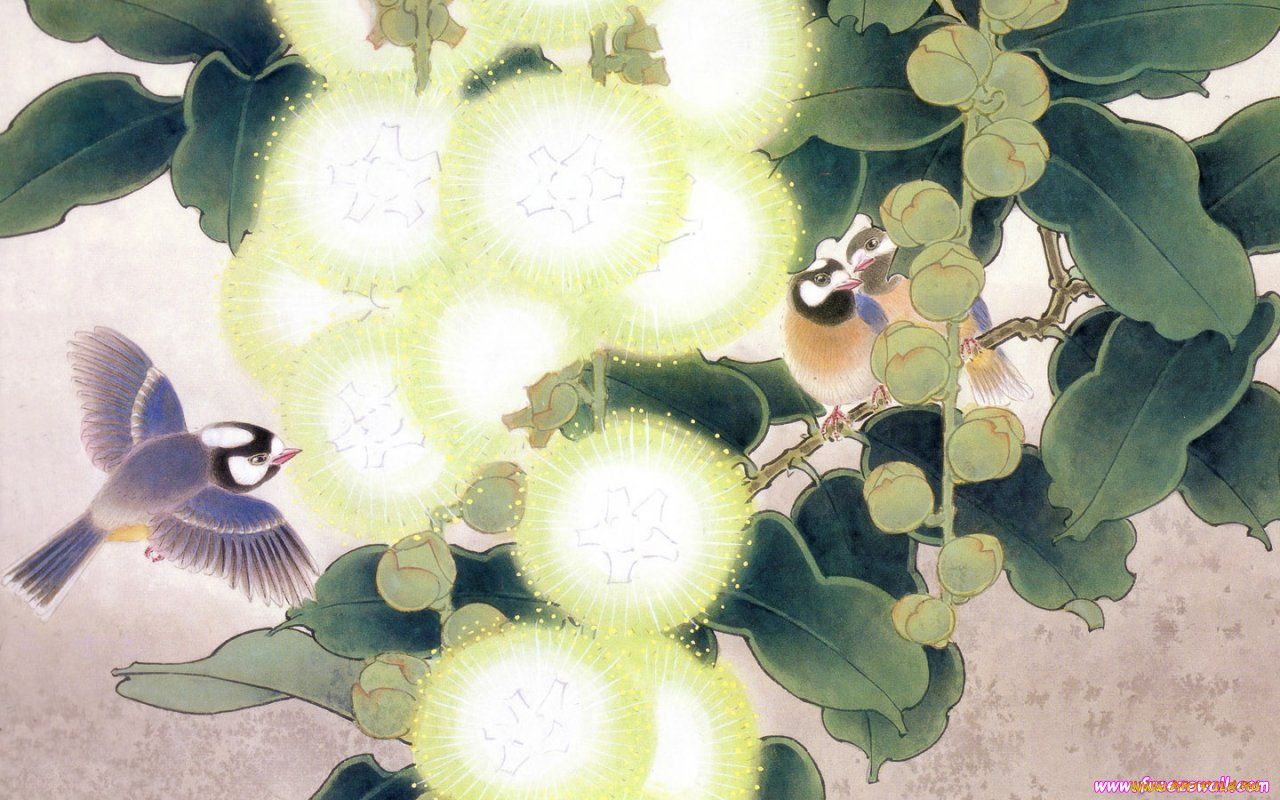 рисованные, животные, птицы