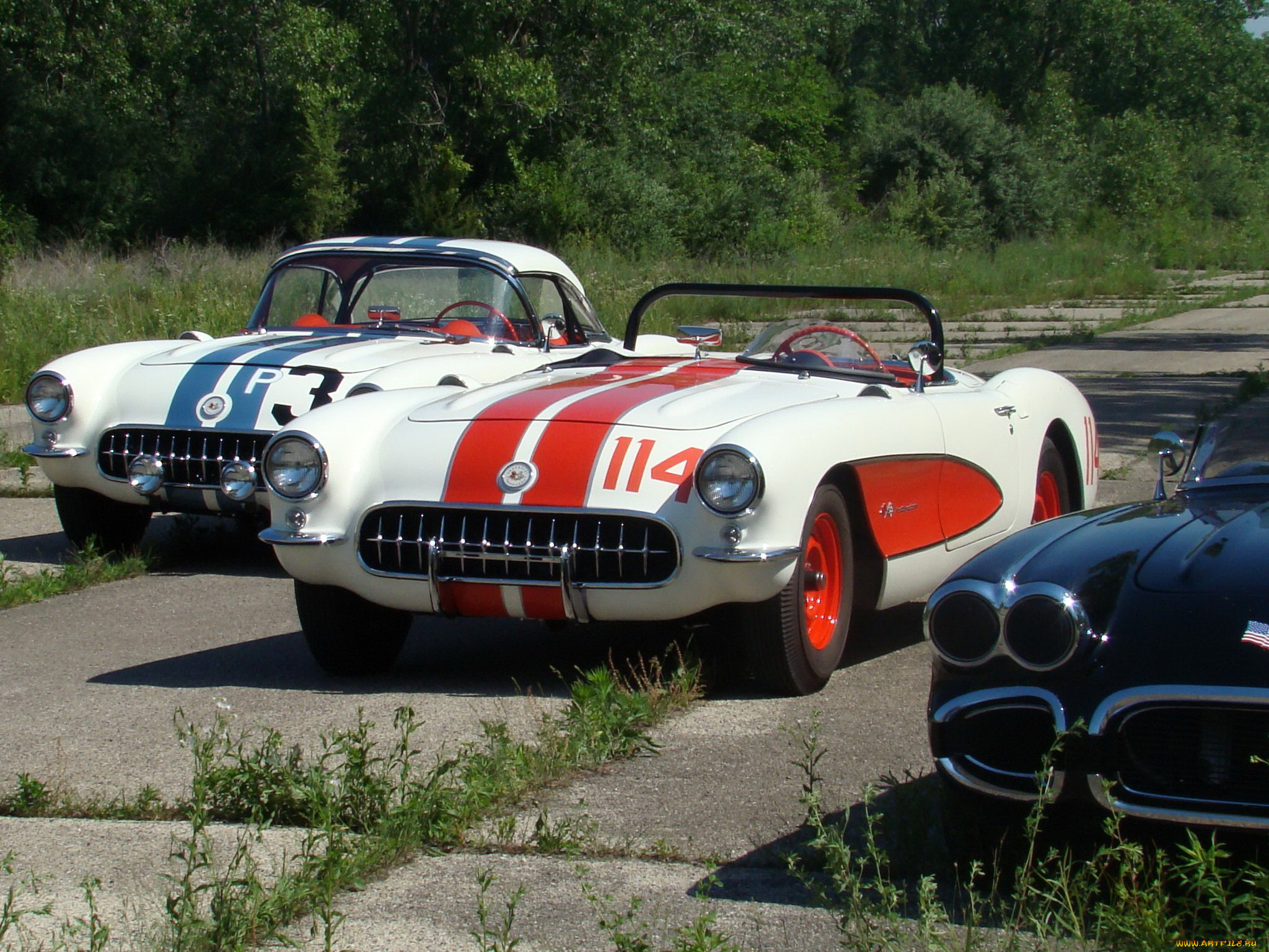 автомобили, corvette