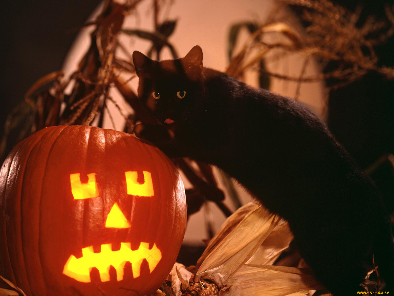 праздничные, хэллоуин