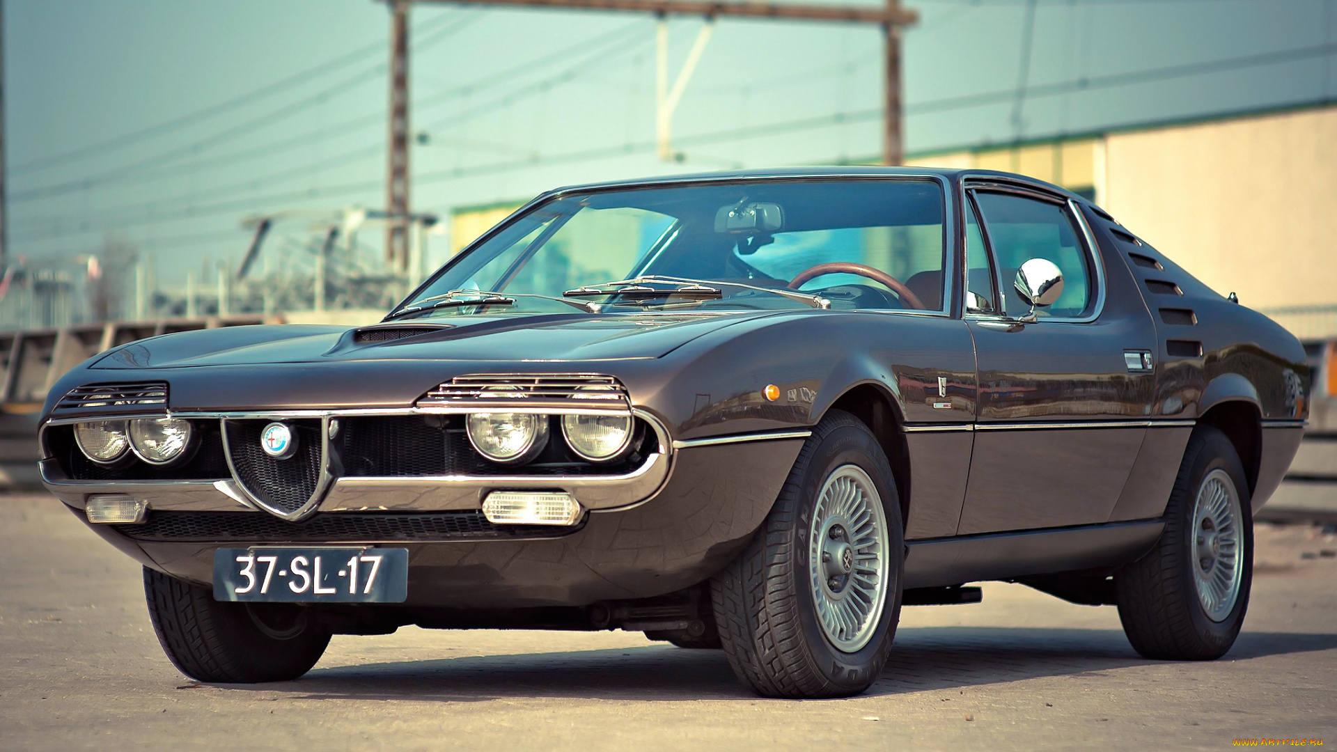 alfa, romeo, montreal, автомобили