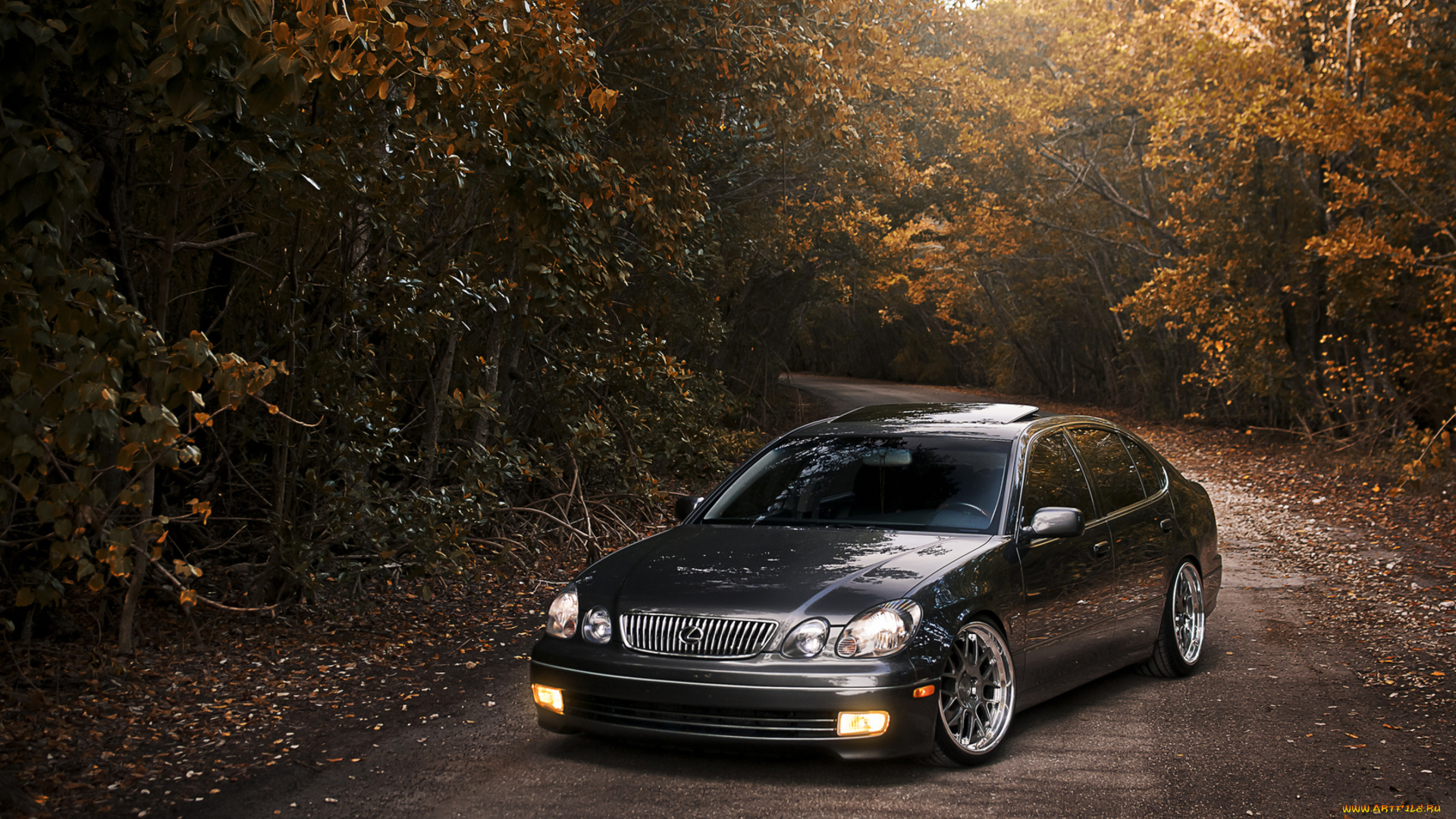 lexus, автомобили, автомобиль, стиль, скорость, красота