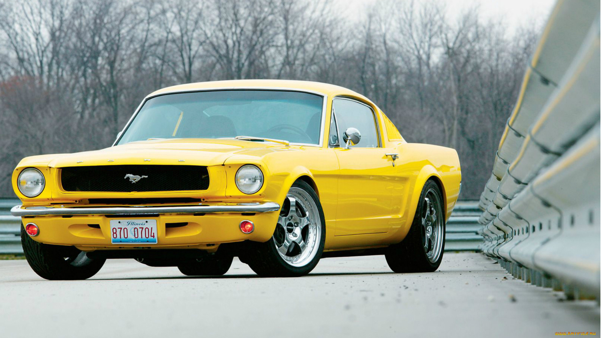 mustang, автомобили, автомобиль, стиль, красота, скорость