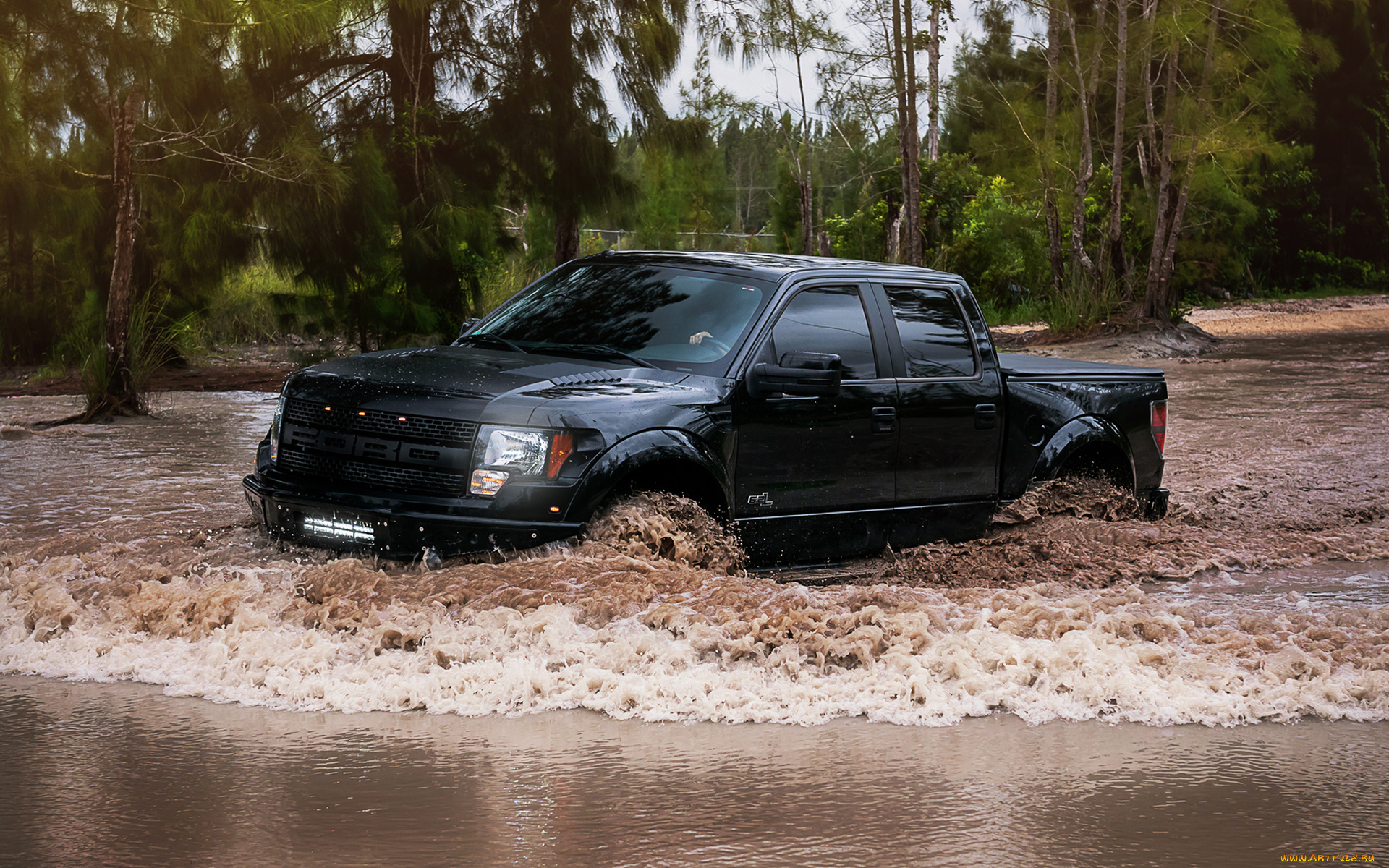 ford, автомобили, стиль, красота, скорость, автомобиль