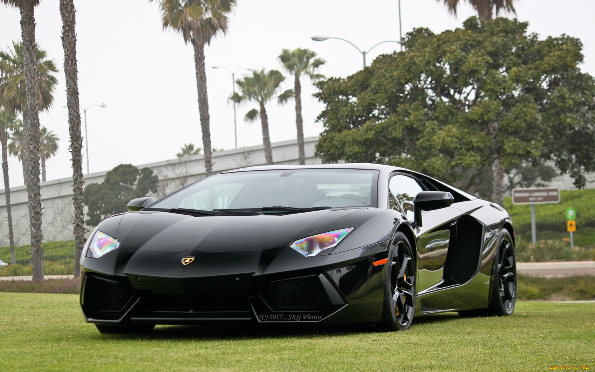 lamborghini, автомобили, скорость, красота, автомобиль, стиль