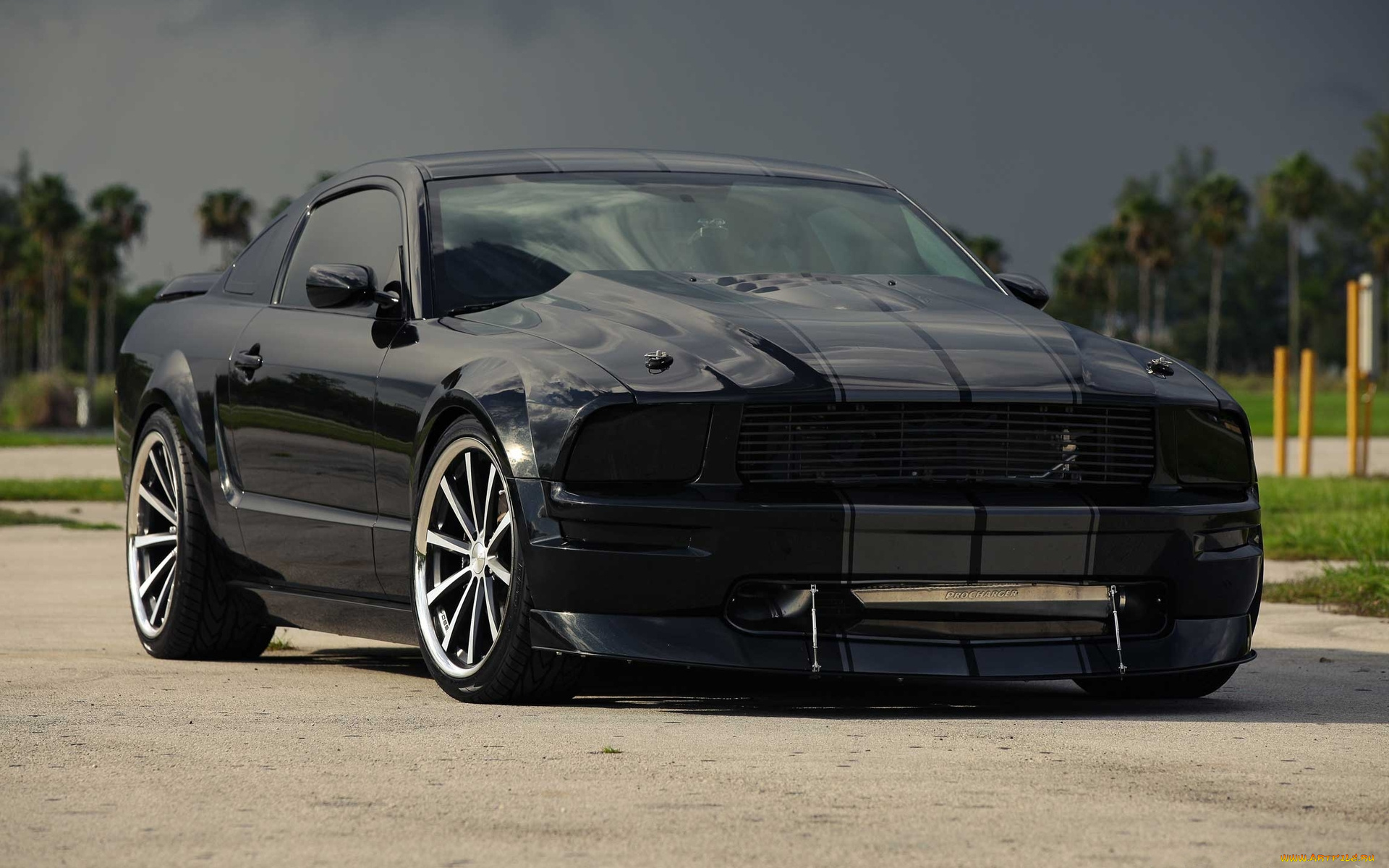 mustang, автомобили, скорость, красота, стиль, автомобиль