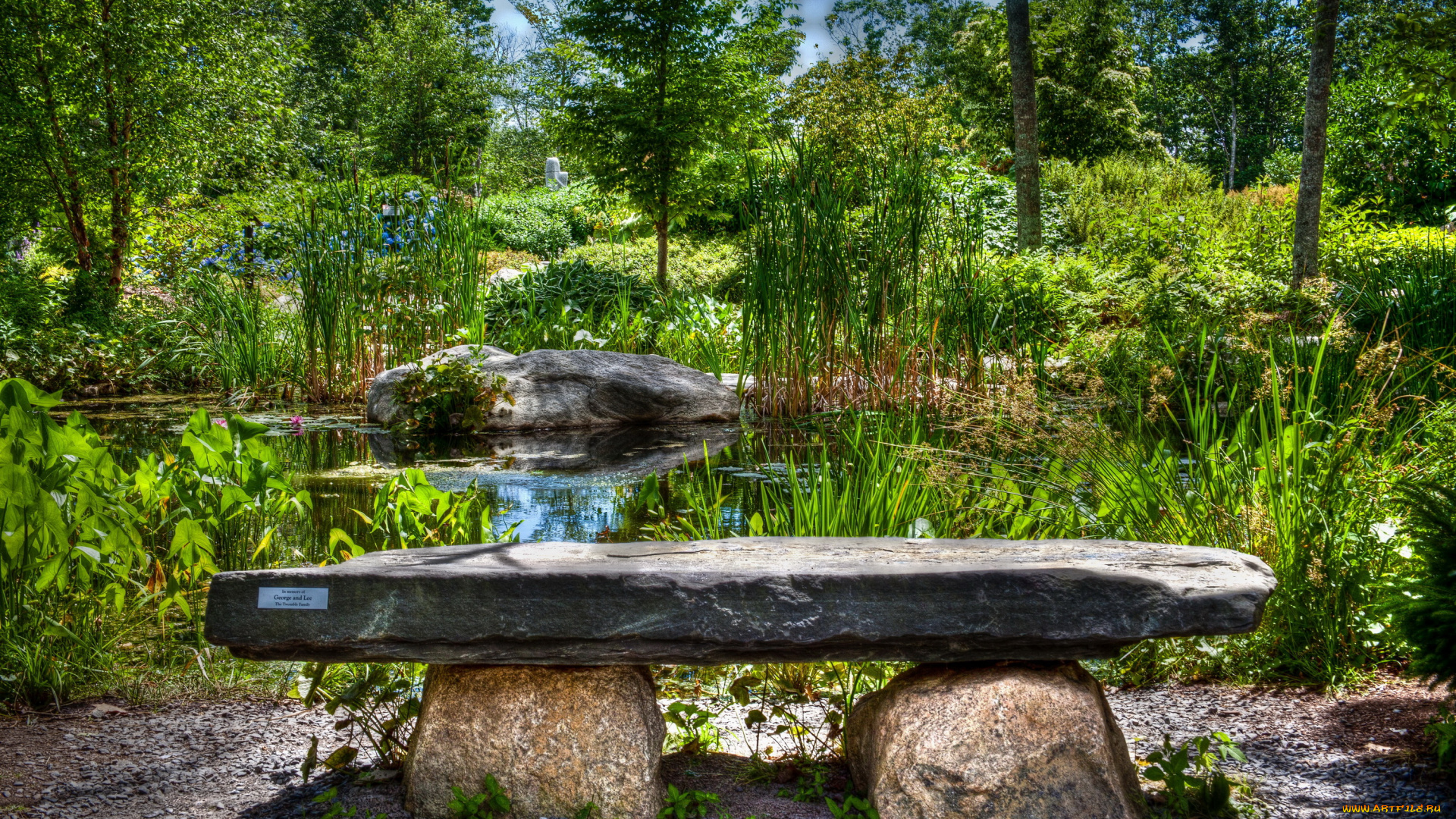 coastal, maine, botanical, gardens, сша, природа, парк, трава, кусты, деревья
