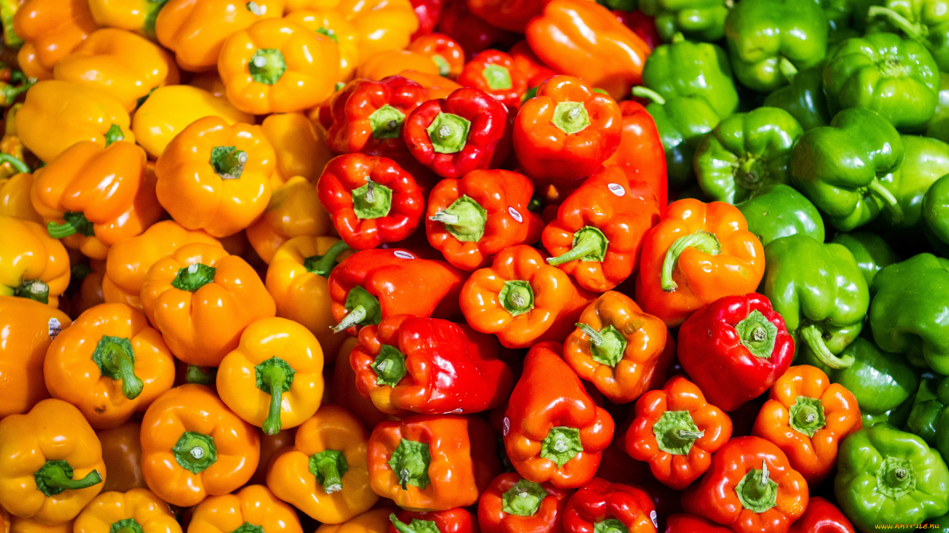 еда, перец, урожай, паприка