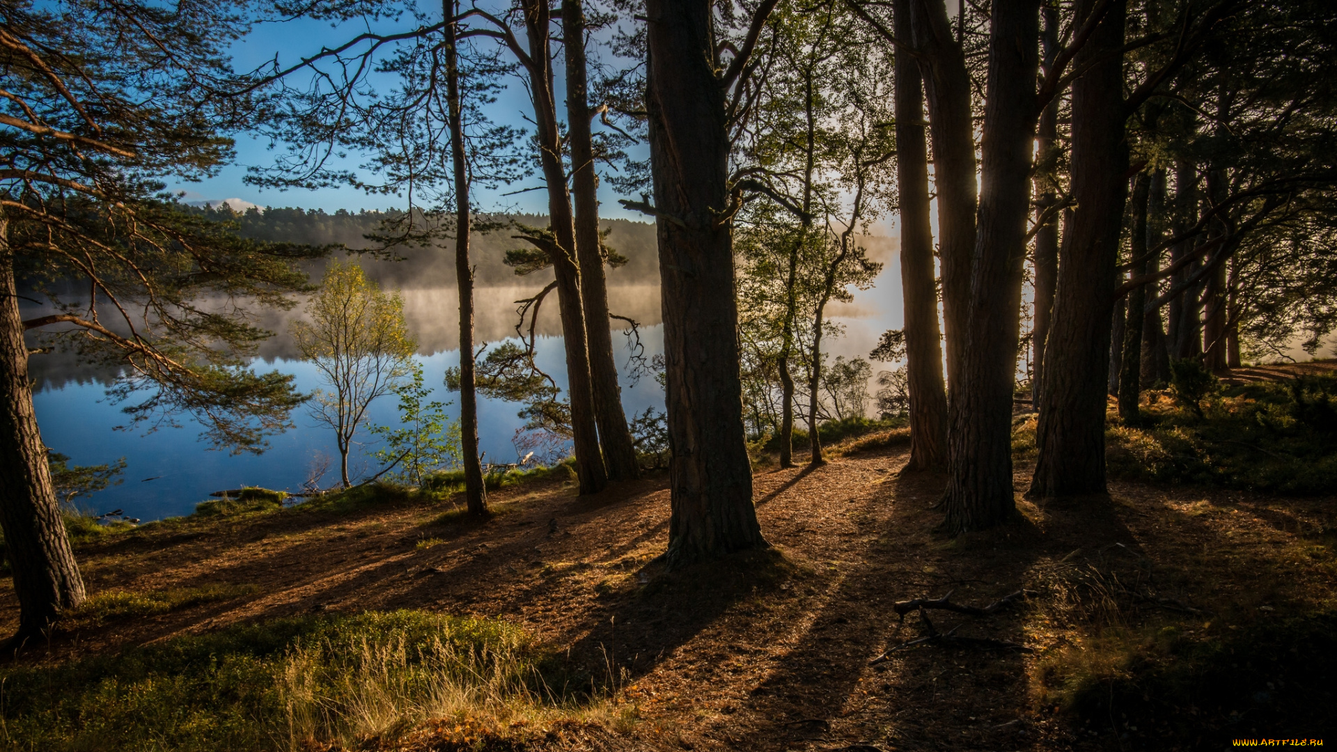 kinrara, scotland, england, природа, реки, озера, шотландия, деревья, кинрара, лес, англия, река