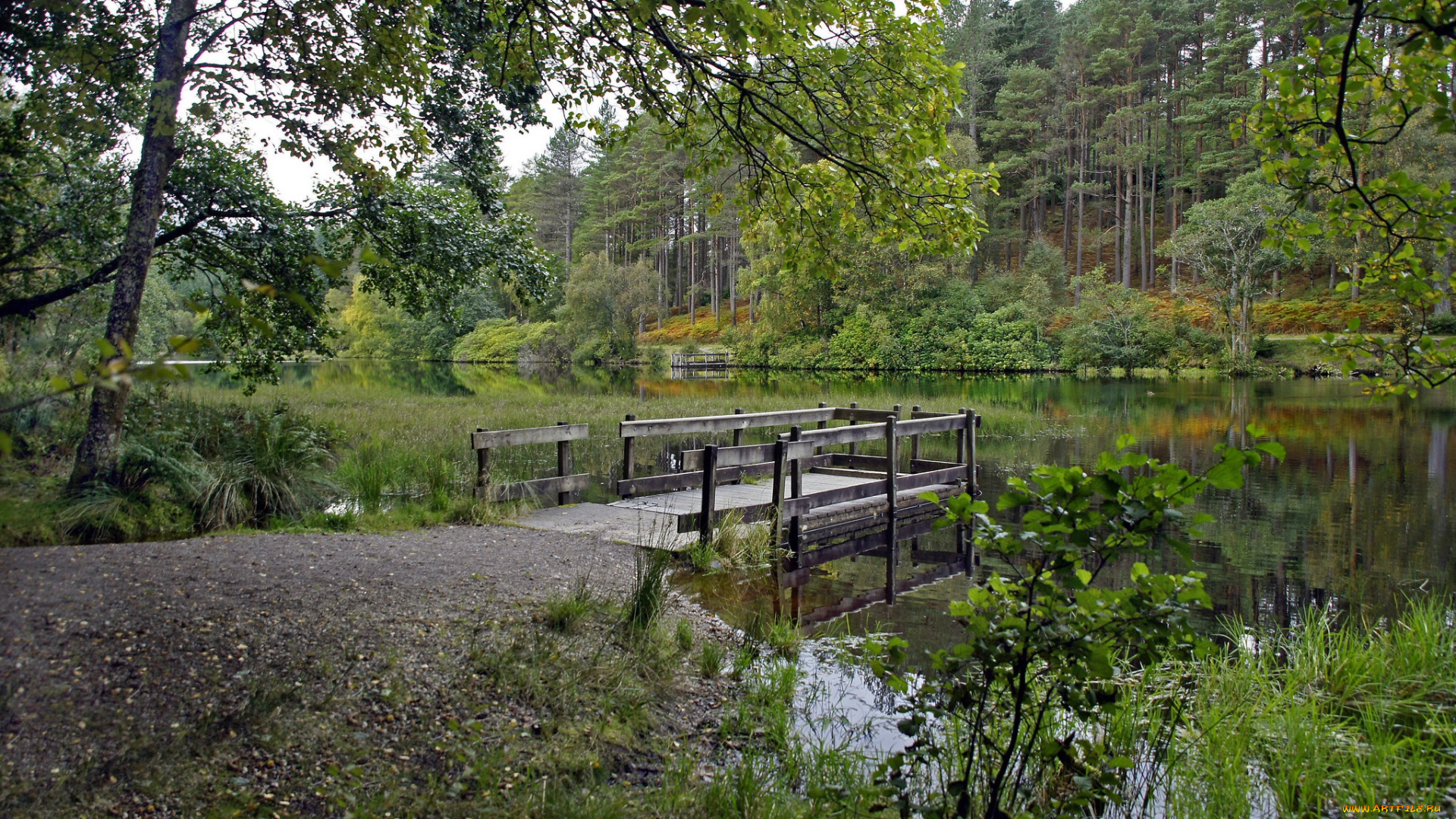 природа, реки, озера, дорога, мостик, лес, река