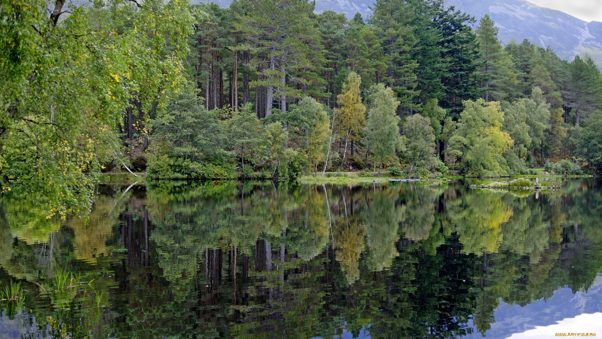 природа, реки, озера, лес, отражение, река, горы