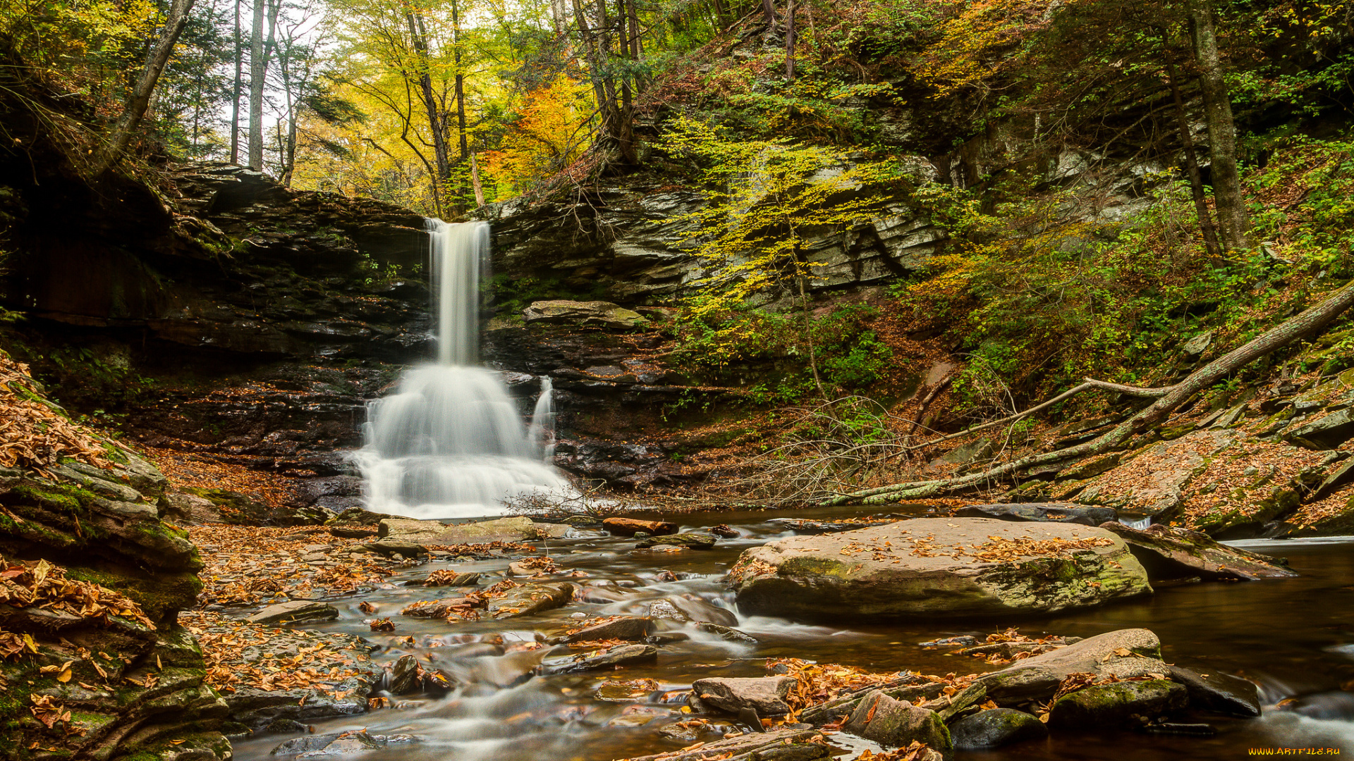 sheldon, reynolds, falls, ricketts, glen, state, park, pennsylvania, природа, водопады, камни, осень, лес, река, пенсильвания