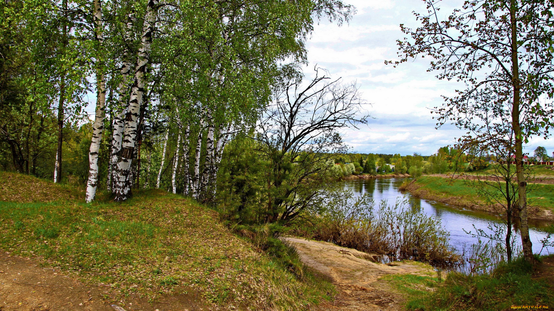 Ярославль, река, которосль, природа, реки, озера, деревья, берег