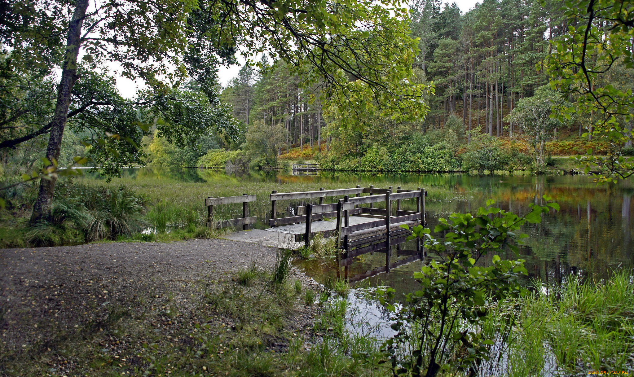 природа, реки, озера, дорога, мостик, лес, река