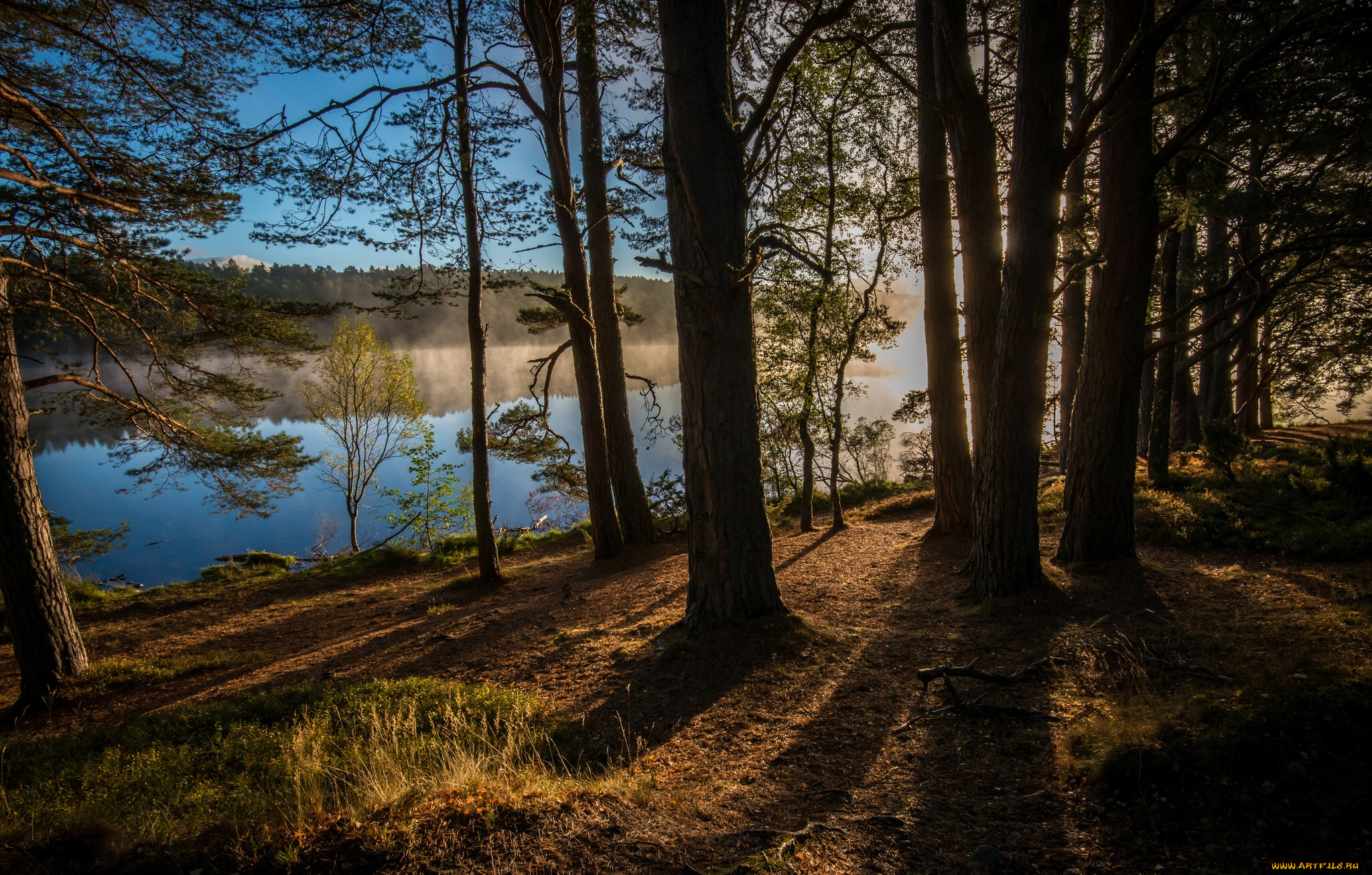 kinrara, scotland, england, природа, реки, озера, шотландия, деревья, кинрара, лес, англия, река