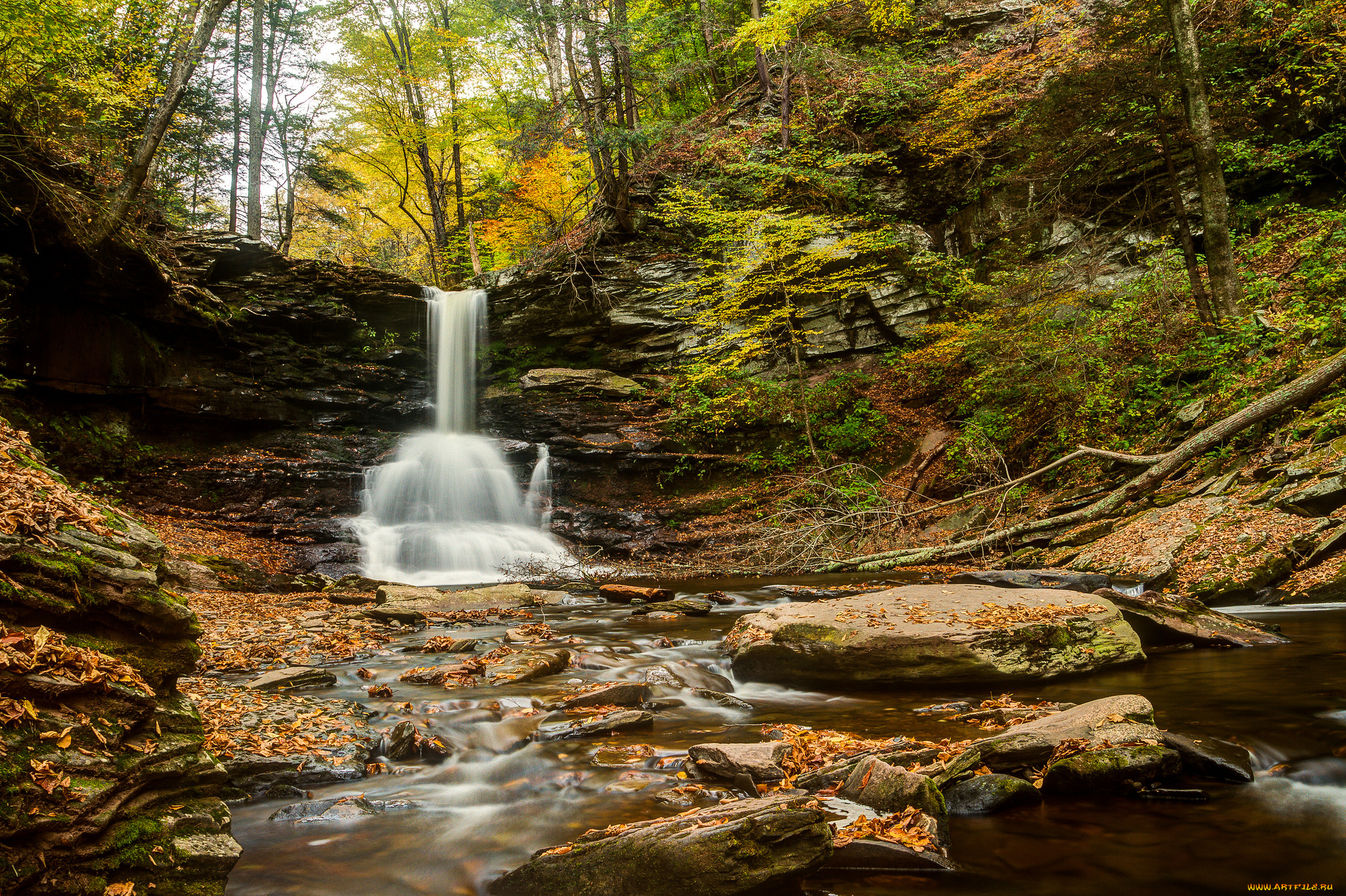 sheldon, reynolds, falls, ricketts, glen, state, park, pennsylvania, природа, водопады, камни, осень, лес, река, пенсильвания