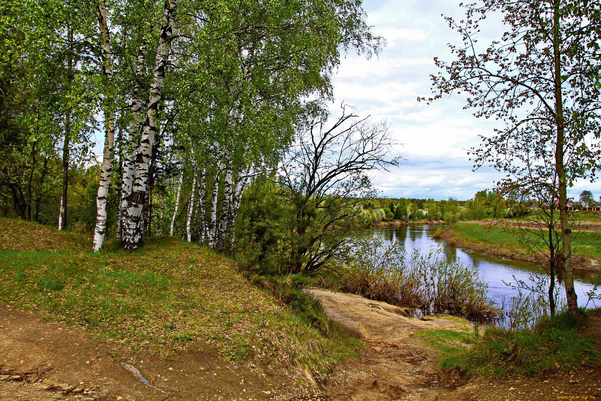 Ярославль, река, которосль, природа, реки, озера, деревья, берег