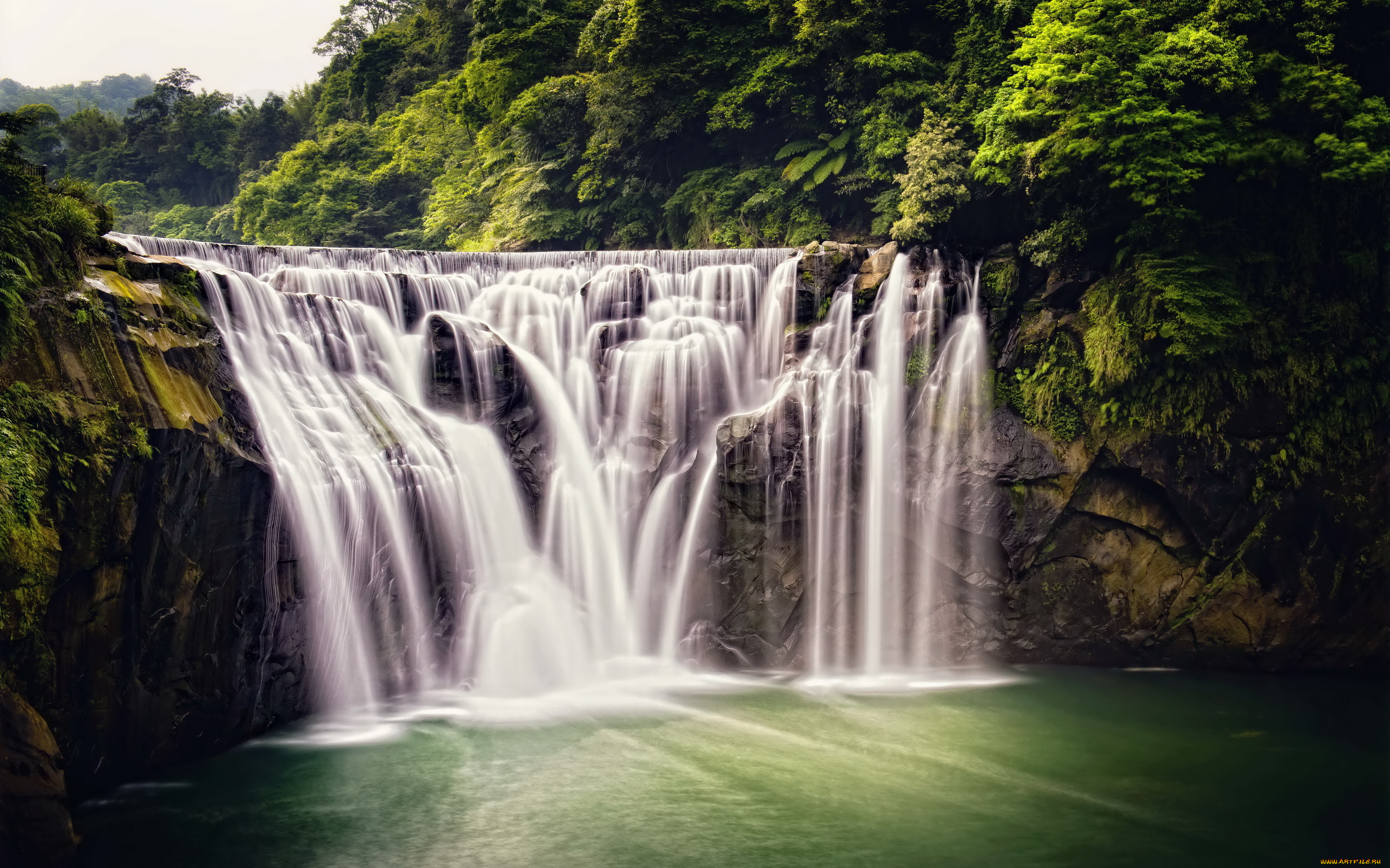 природа, водопады, taiwan, джунгли, лес, shifen, waterfall