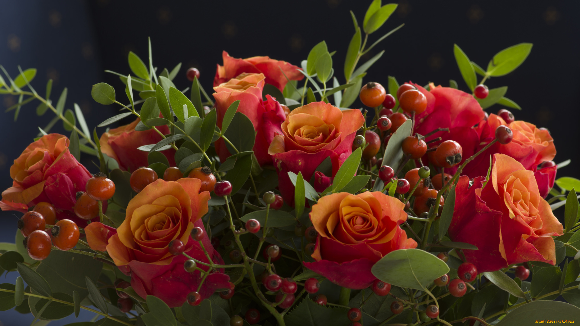 цветы, розы, petals, bud, rose, цветение, листья, blossoms, leaves, лепестки, бутон, роза