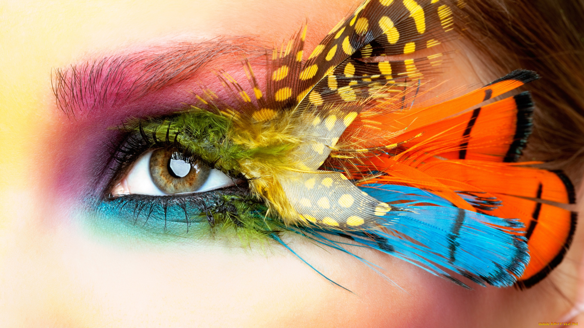 разное, глаза, взгляд, перья, глаз, стиль, макро