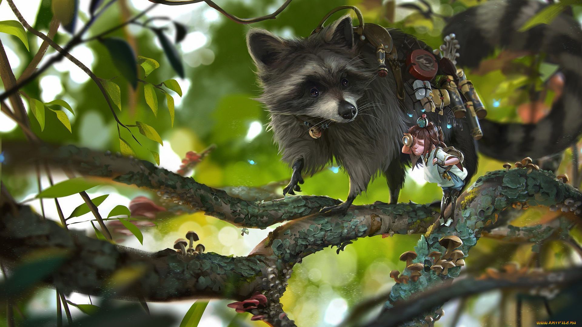 рисованное, животные, , еноты, девочка, енот, арт