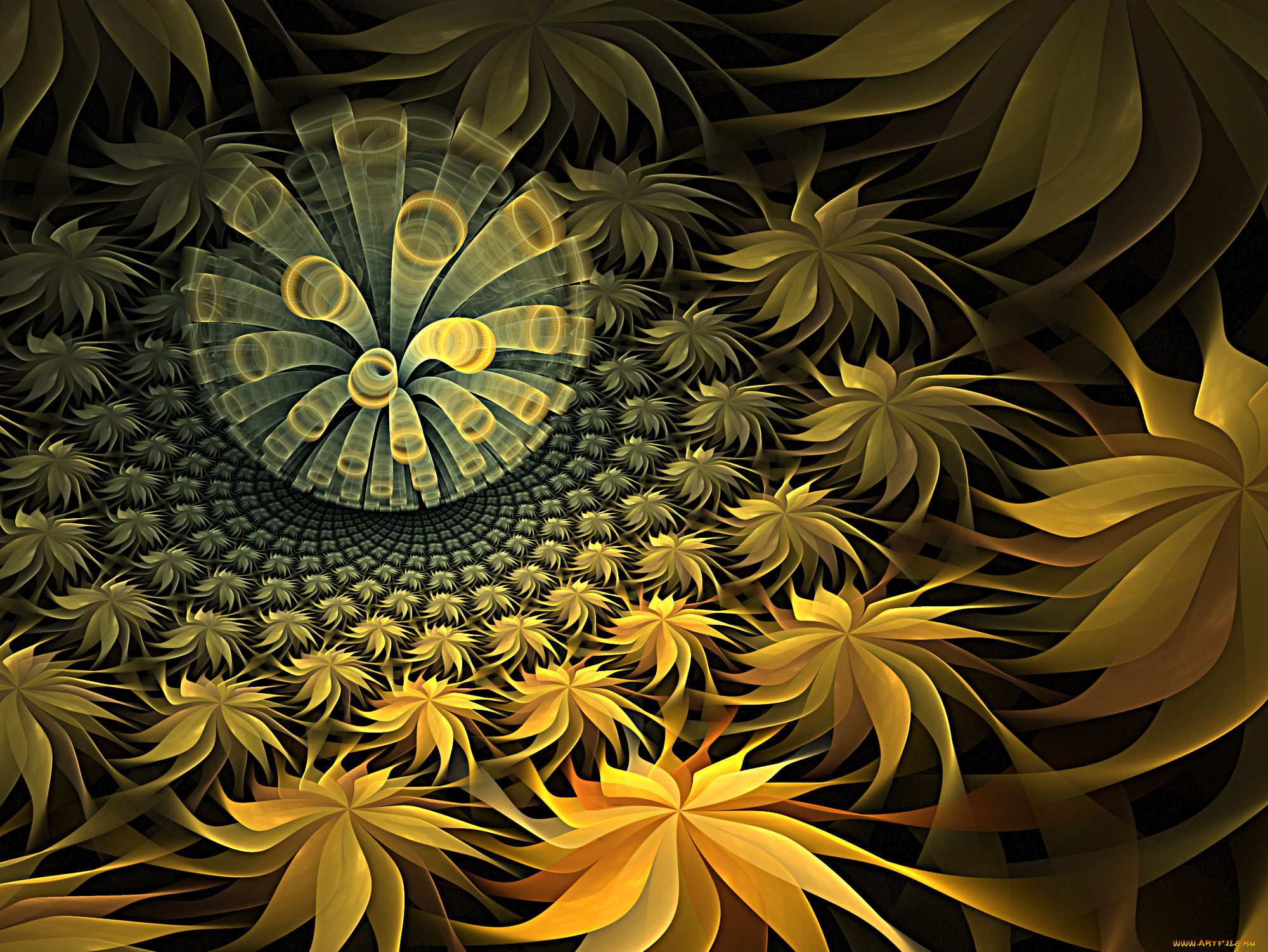 3д, графика, фракталы, , fractal, фон, узор, цвета