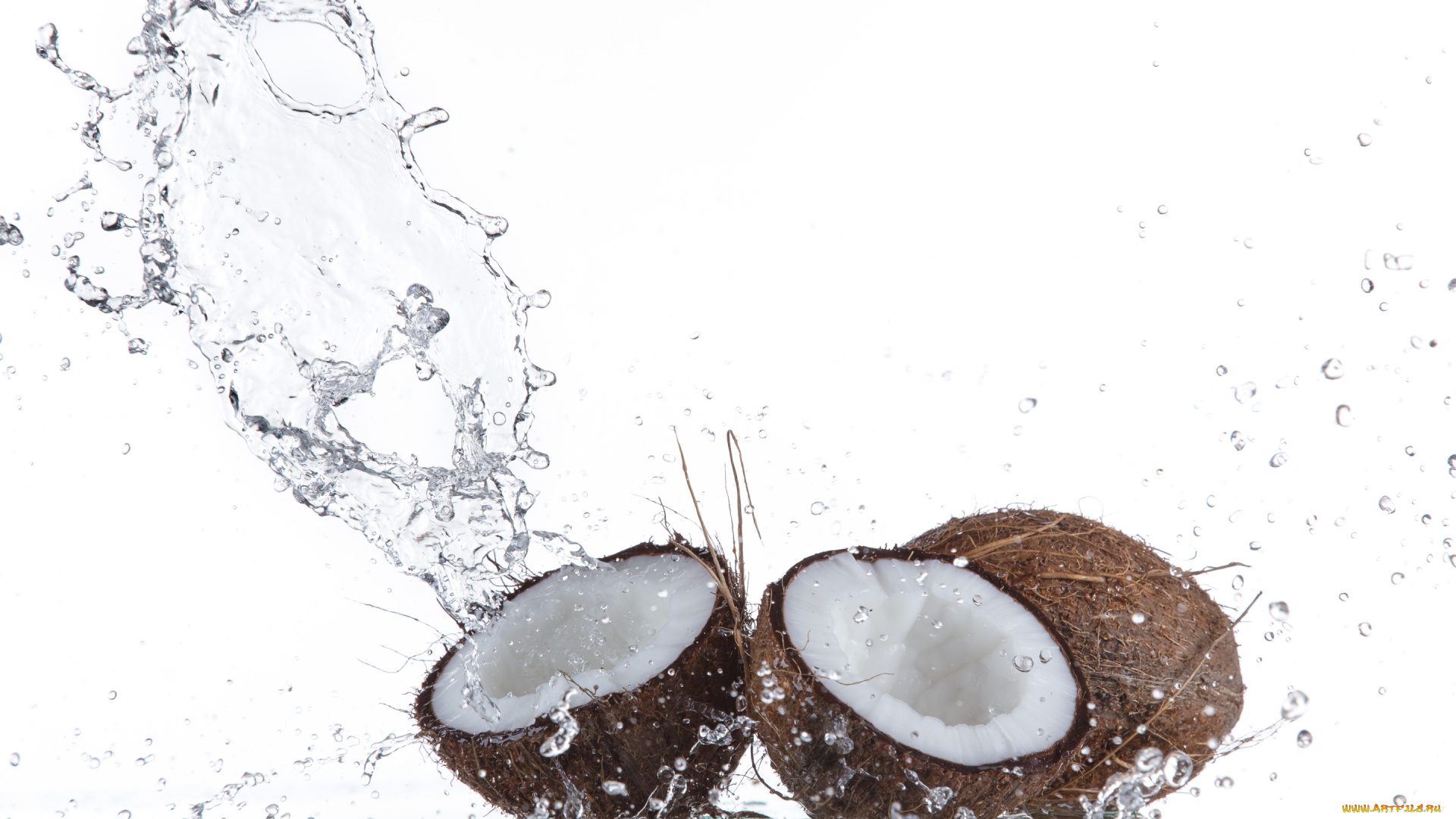 еда, кокос, coconut, water, вода, drops, брызги, капли, sprays