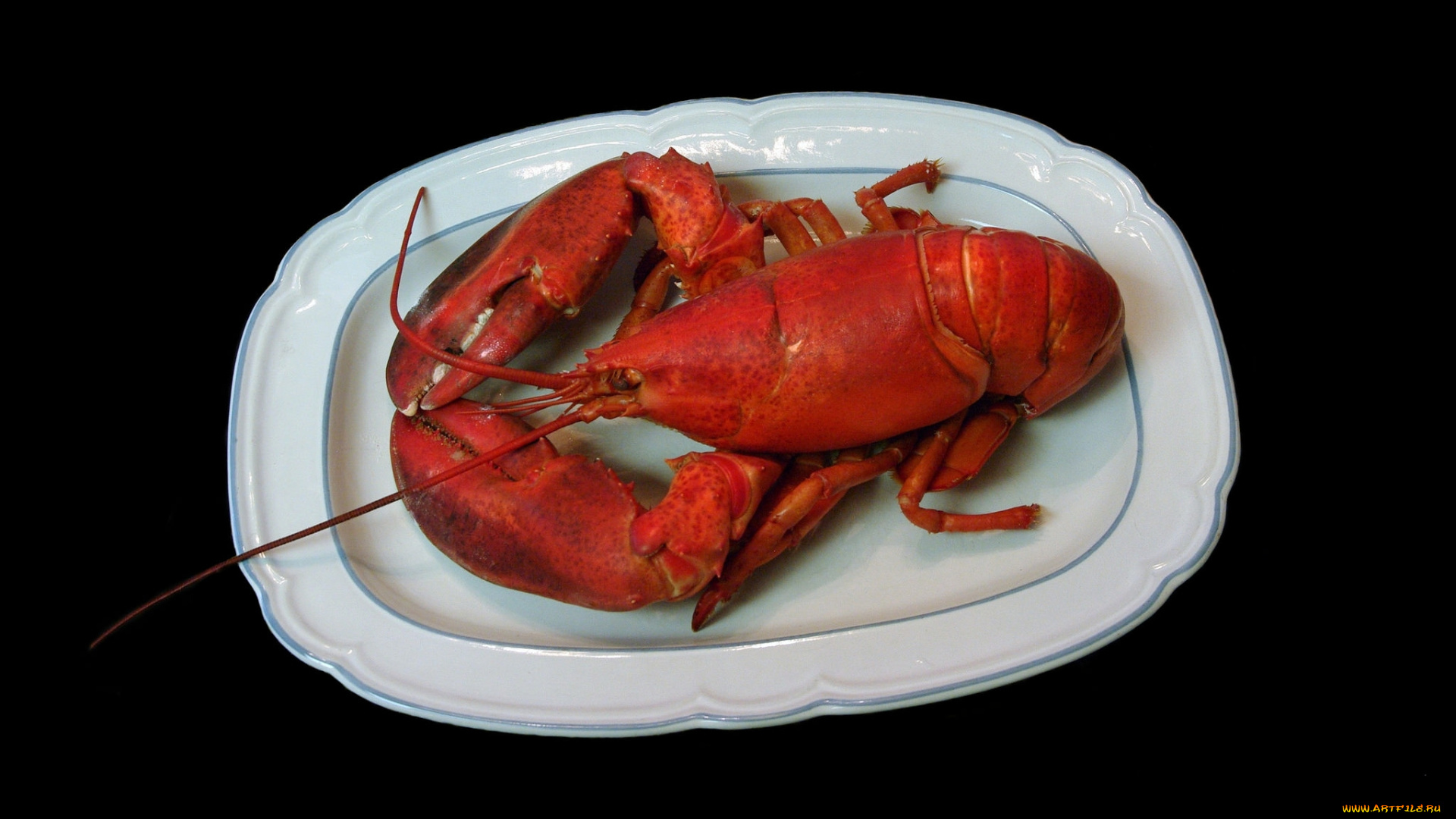 еда, рыба, , морепродукты, , суши, , роллы, омар