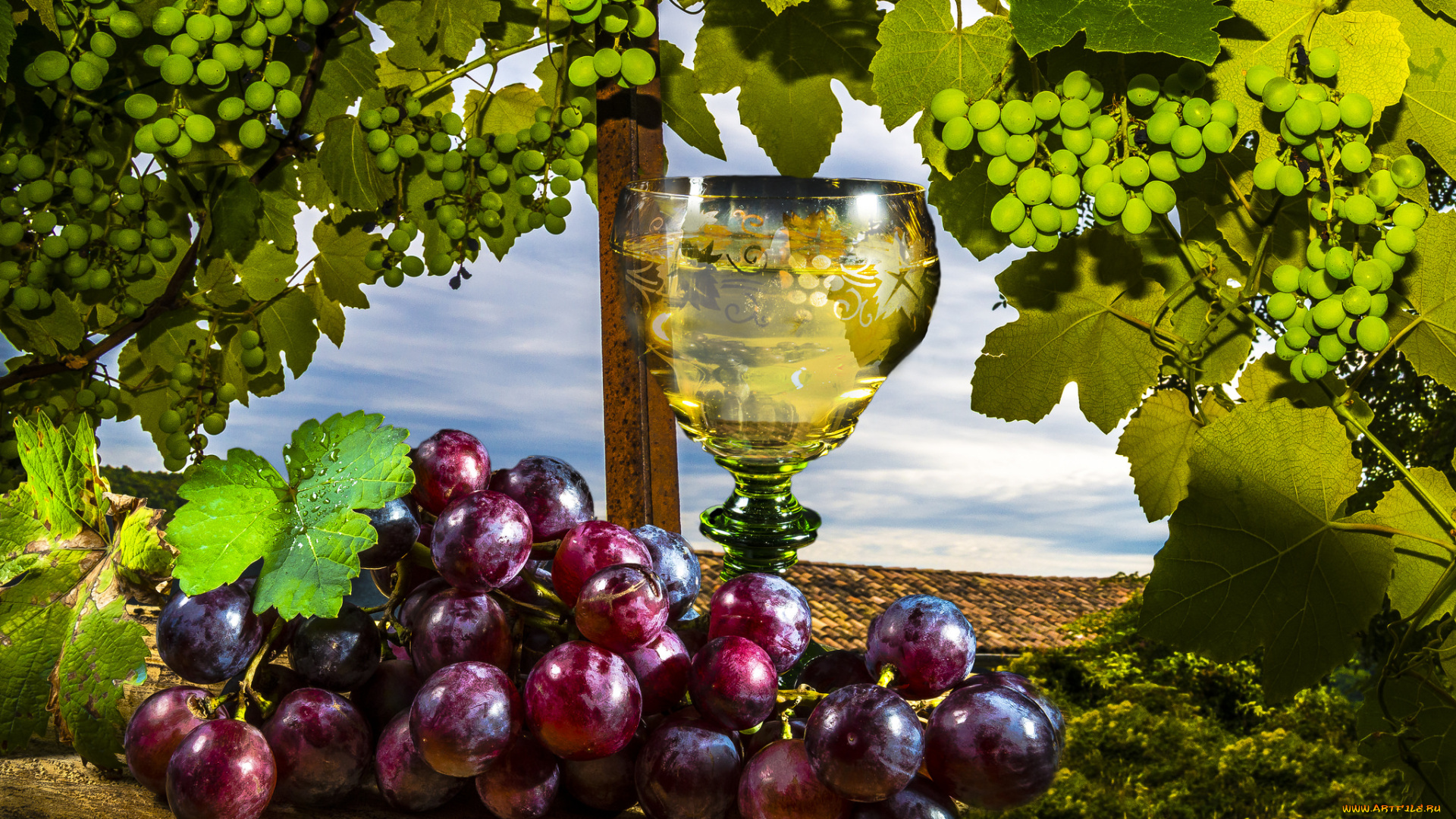 еда, виноград, дары