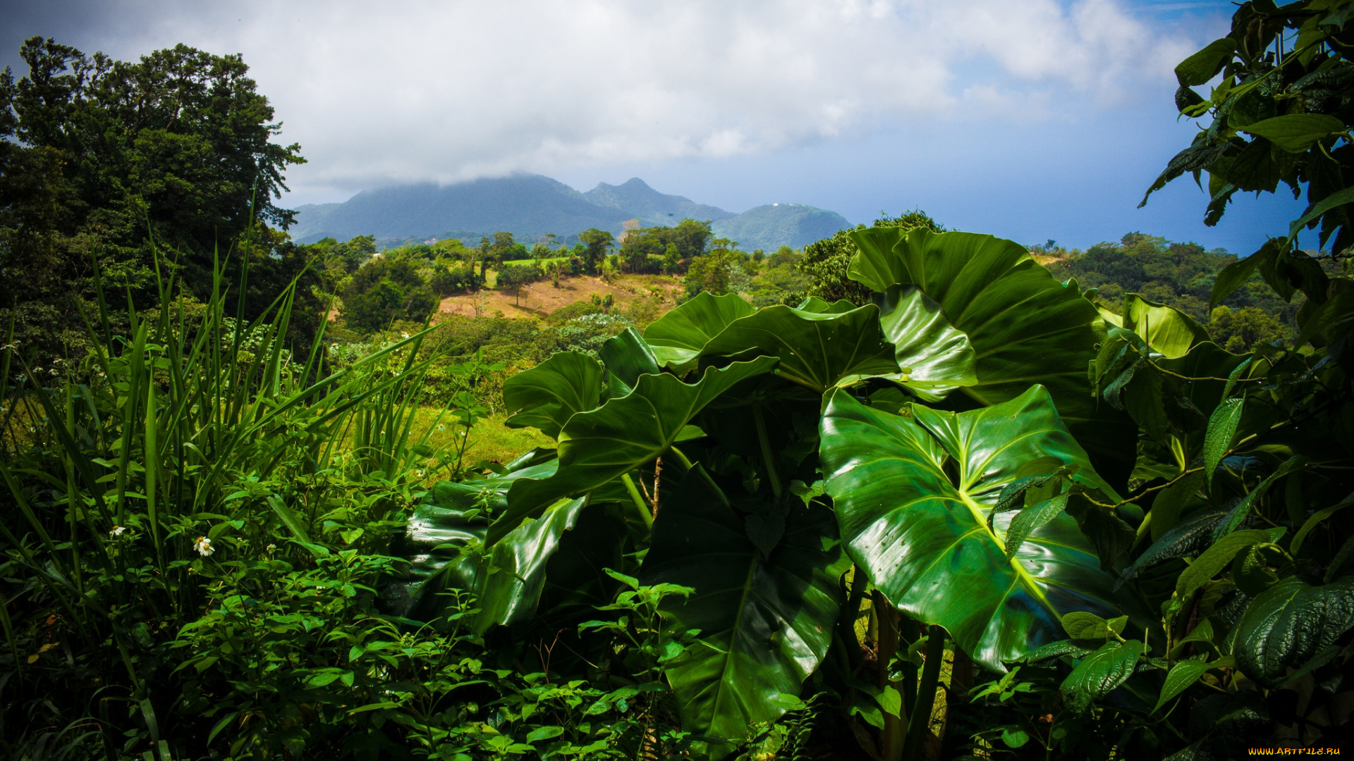 природа, пейзажи, простор