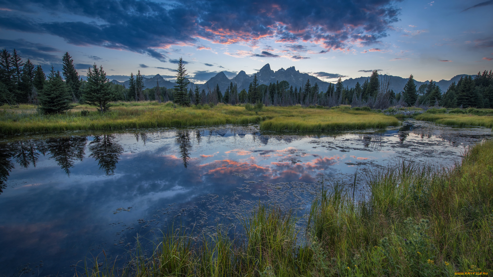 природа, реки, озера, река, лес, горы