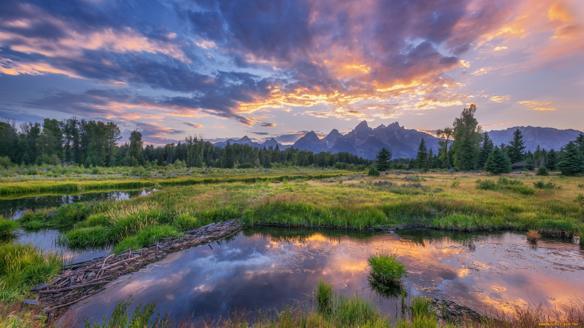 природа, реки, озера, река, лес, горы