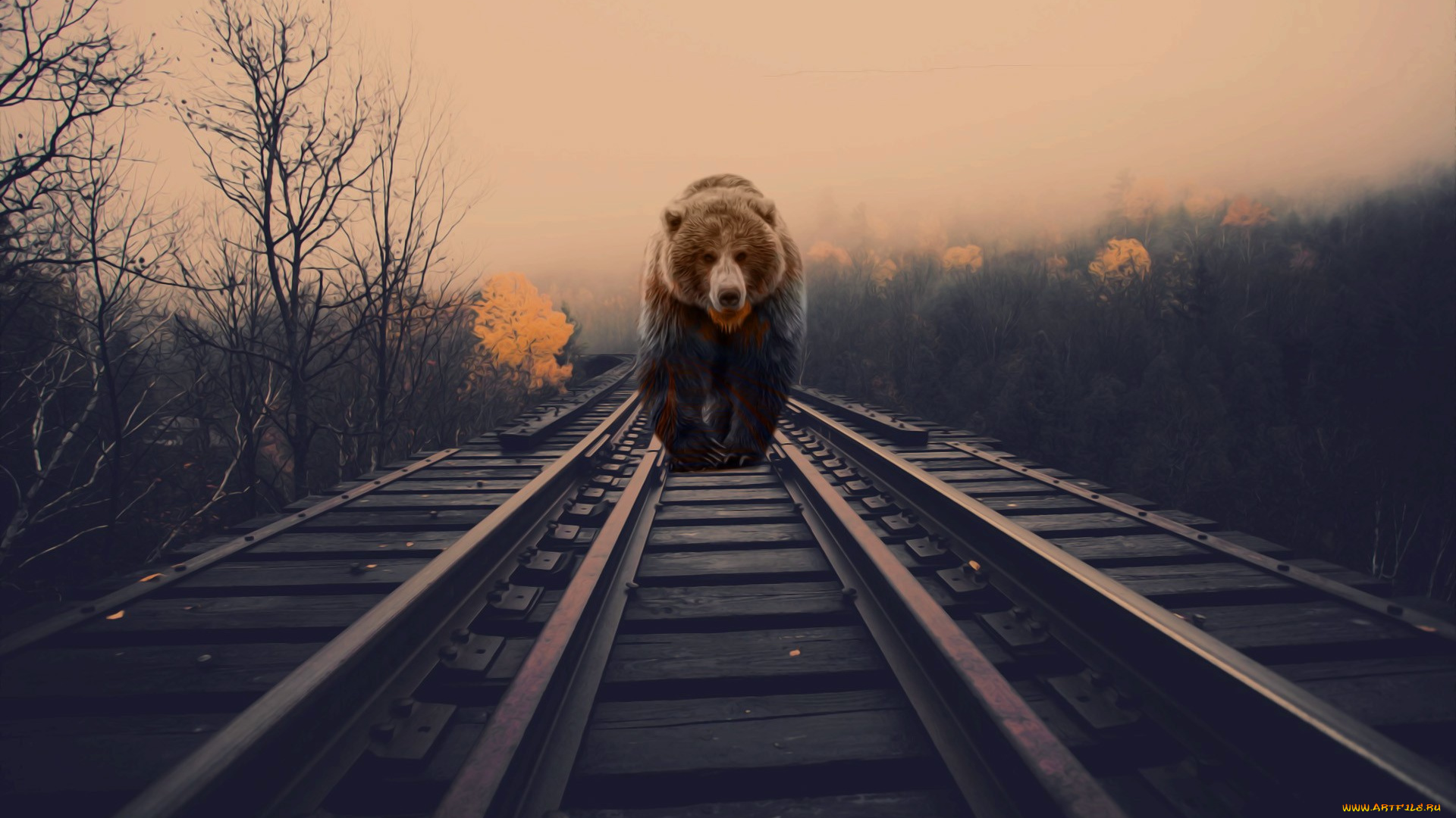 разное, компьютерный, дизайн, медведь, рельсы