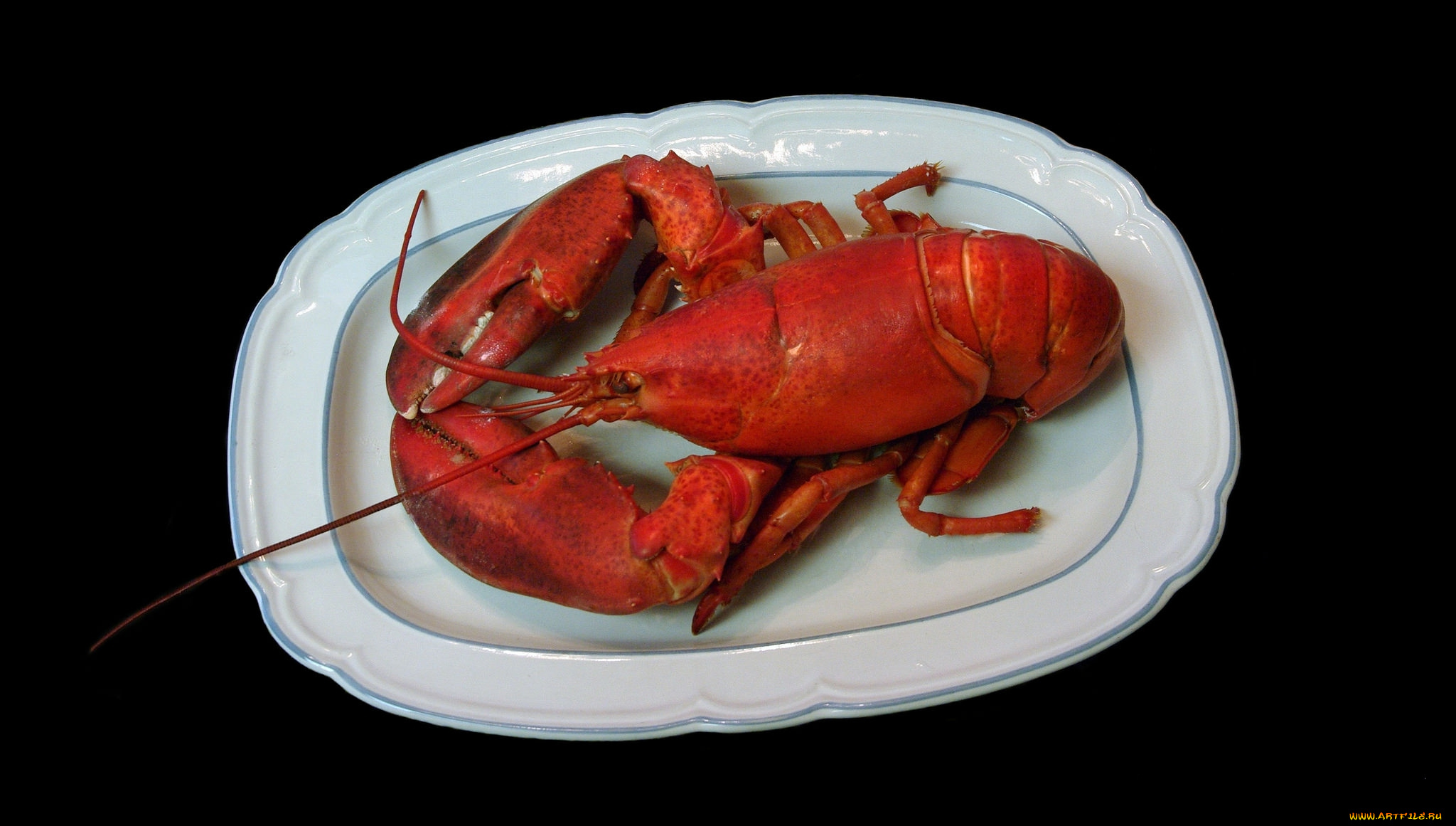 еда, рыба, , морепродукты, , суши, , роллы, омар