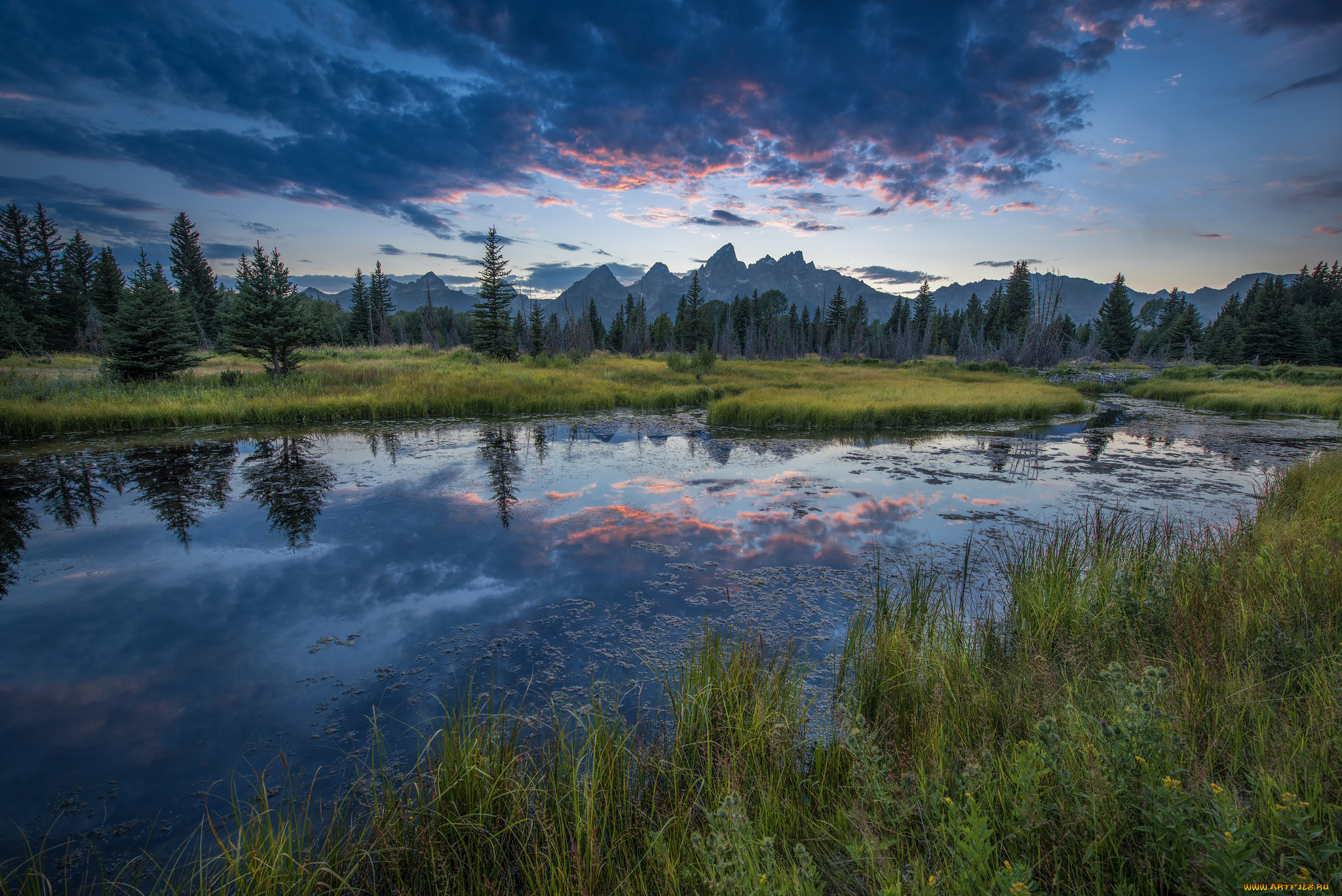 природа, реки, озера, река, лес, горы