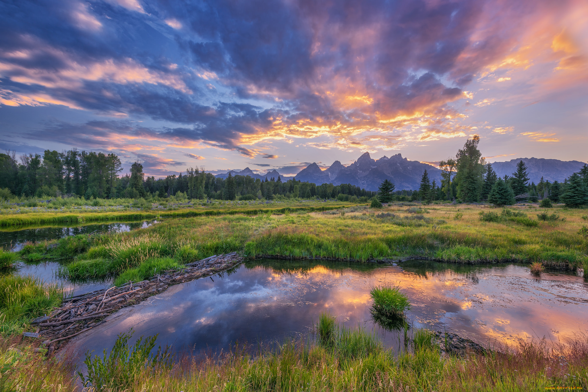 природа, реки, озера, река, лес, горы