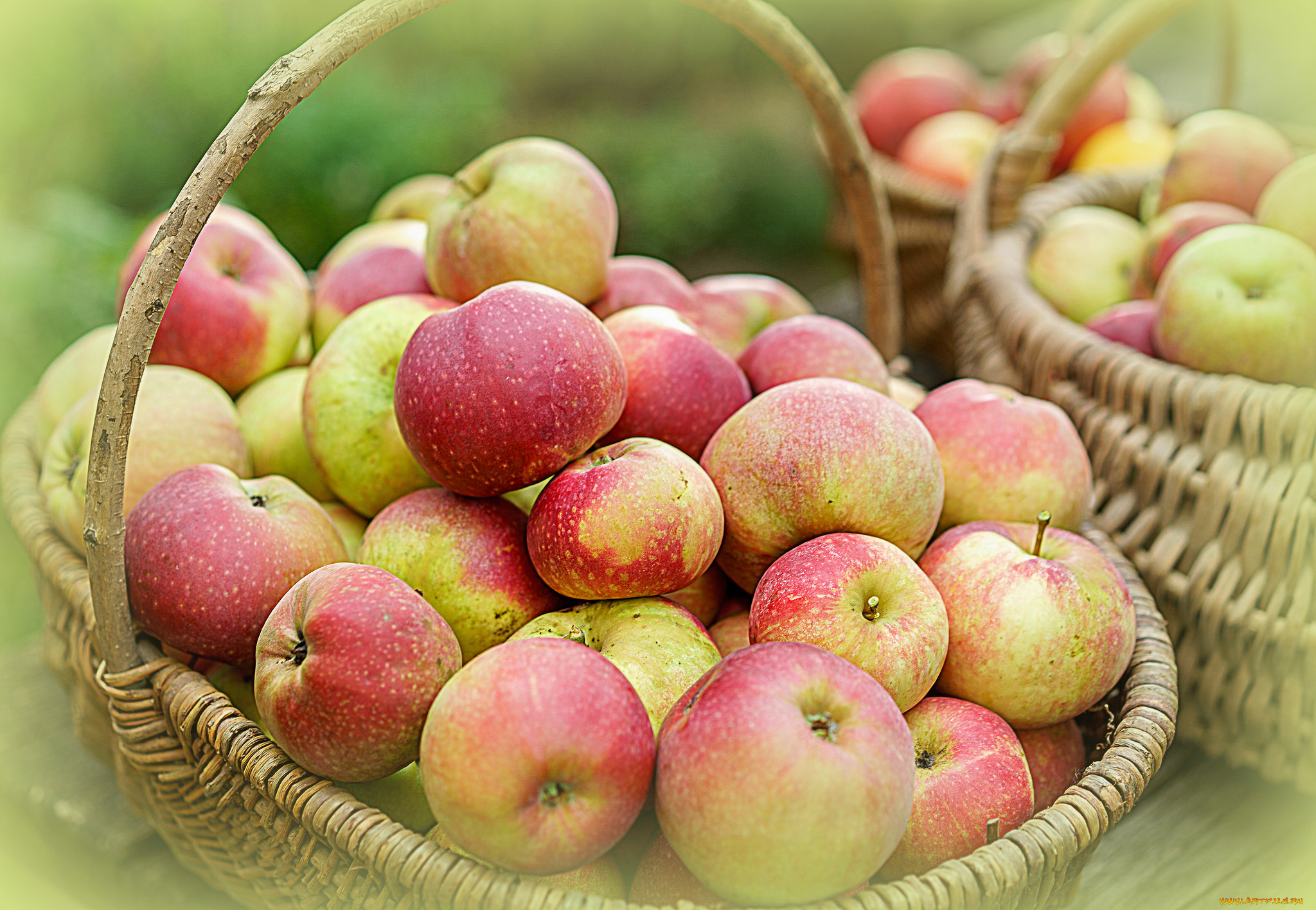 еда, Яблоки, лукошко