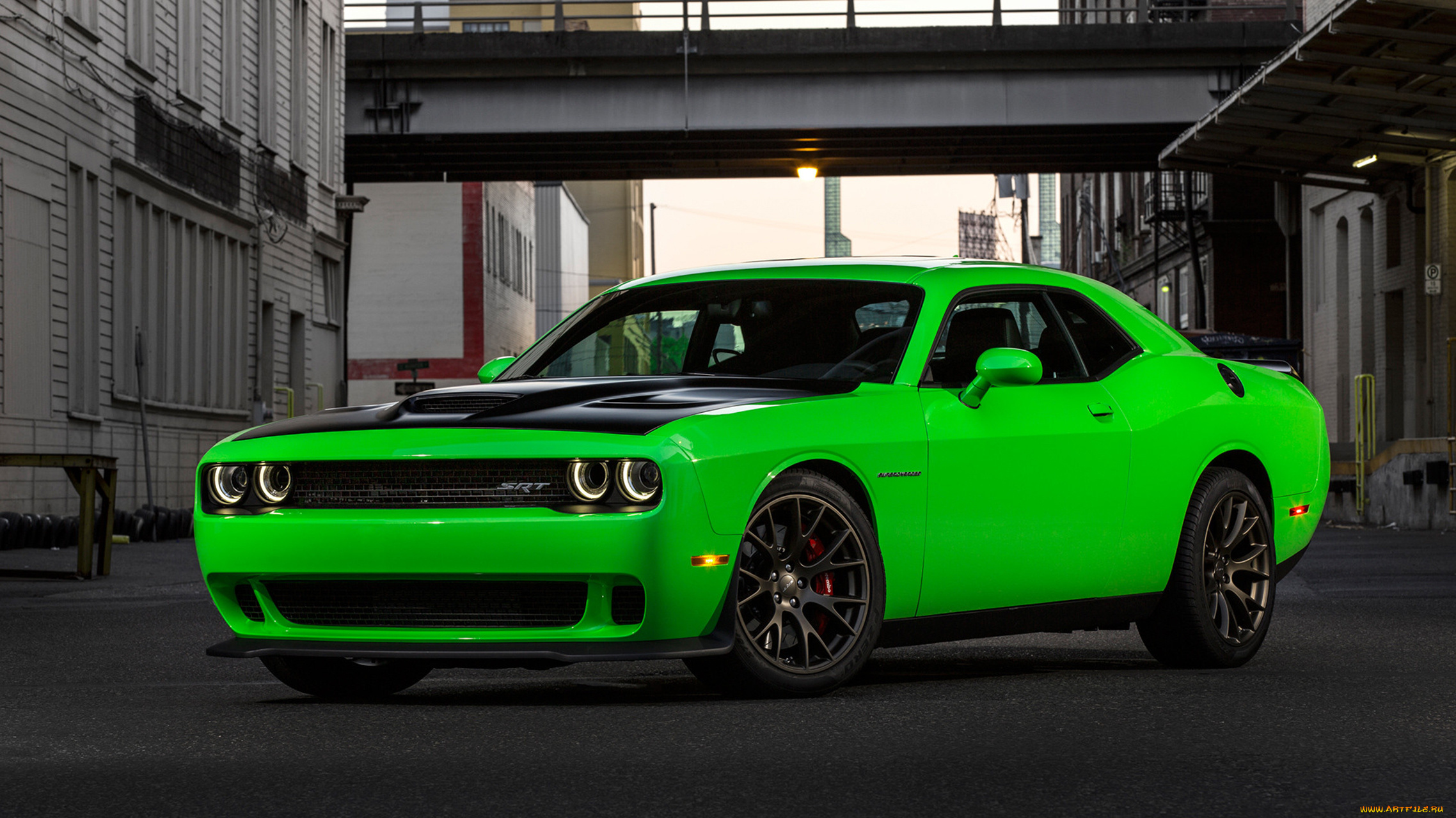 dodge, challenger, srt, supercharged, hemi, hellcat, 2015, автомобили, dodge, challenger, srt, supercharged, hemi, hellcat, 2015