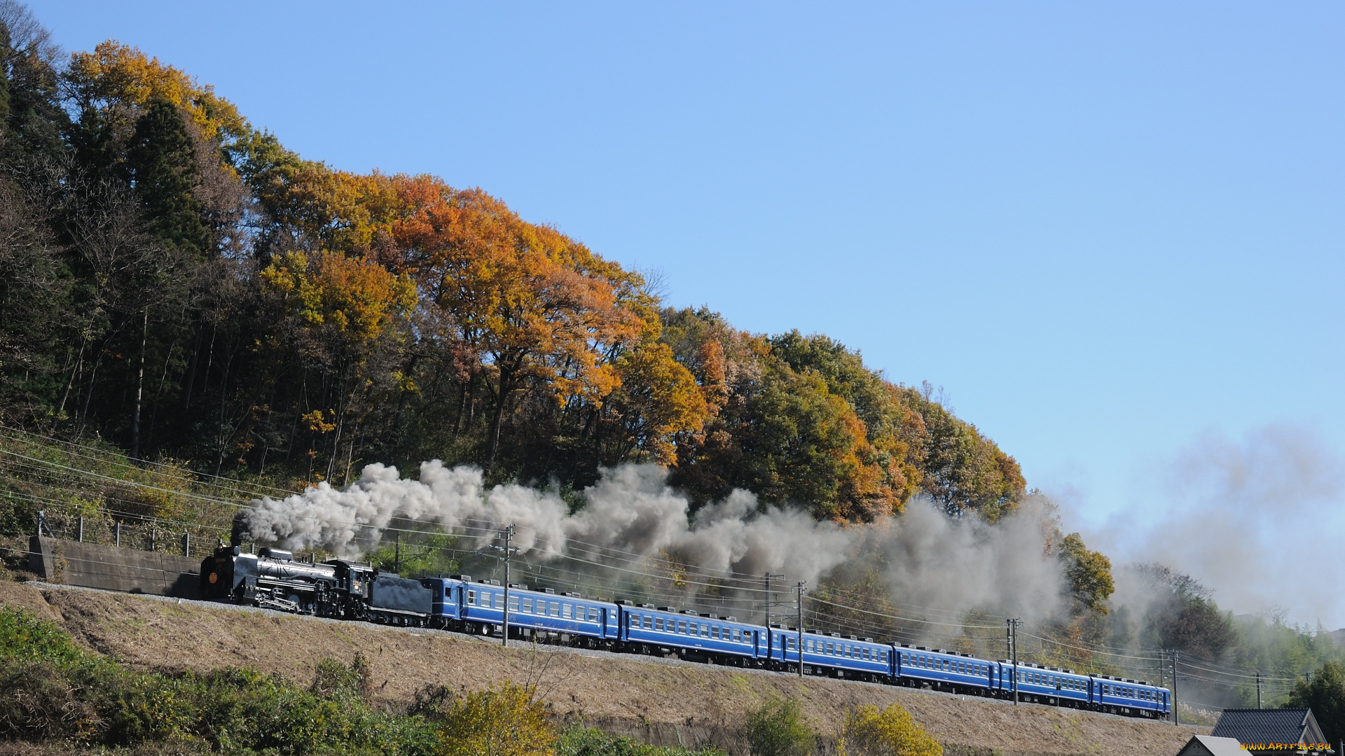 техника, паровозы, поезд, вагоны