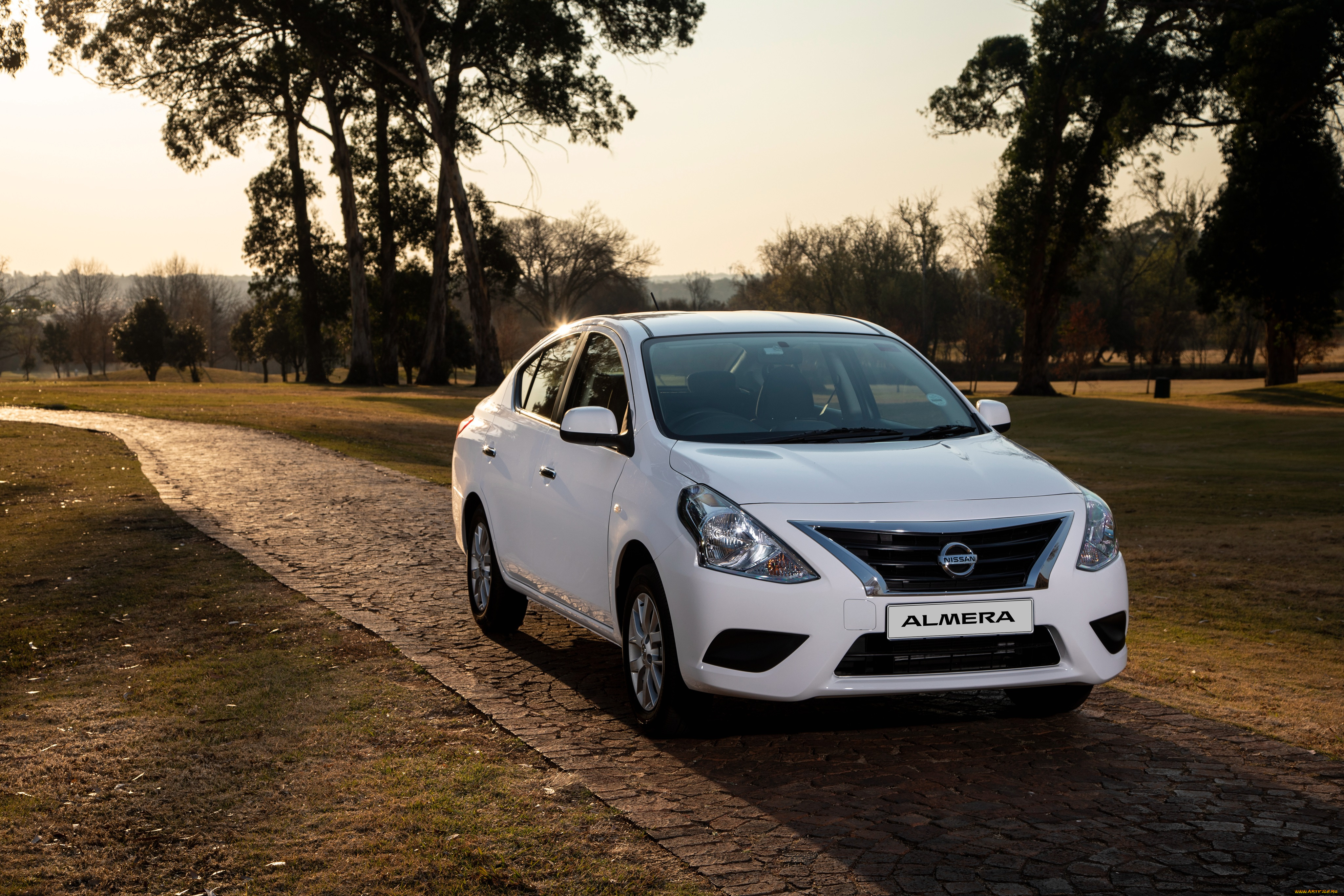 автомобили, nissan, datsun