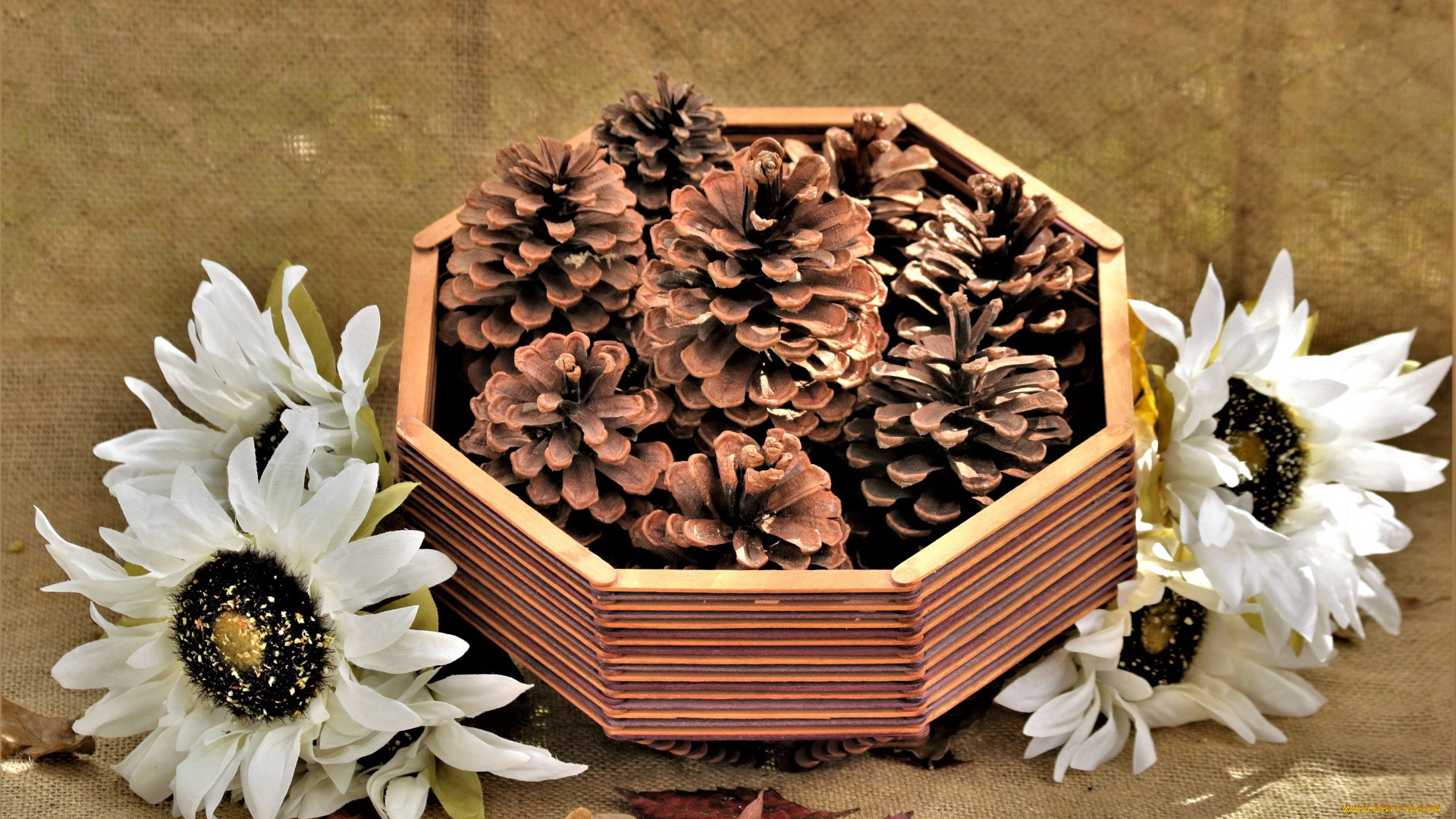 разное, -, другое, шишки