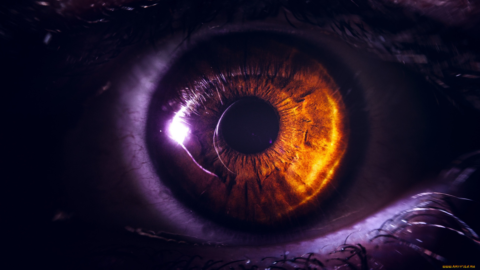 разное, глаза, глаз