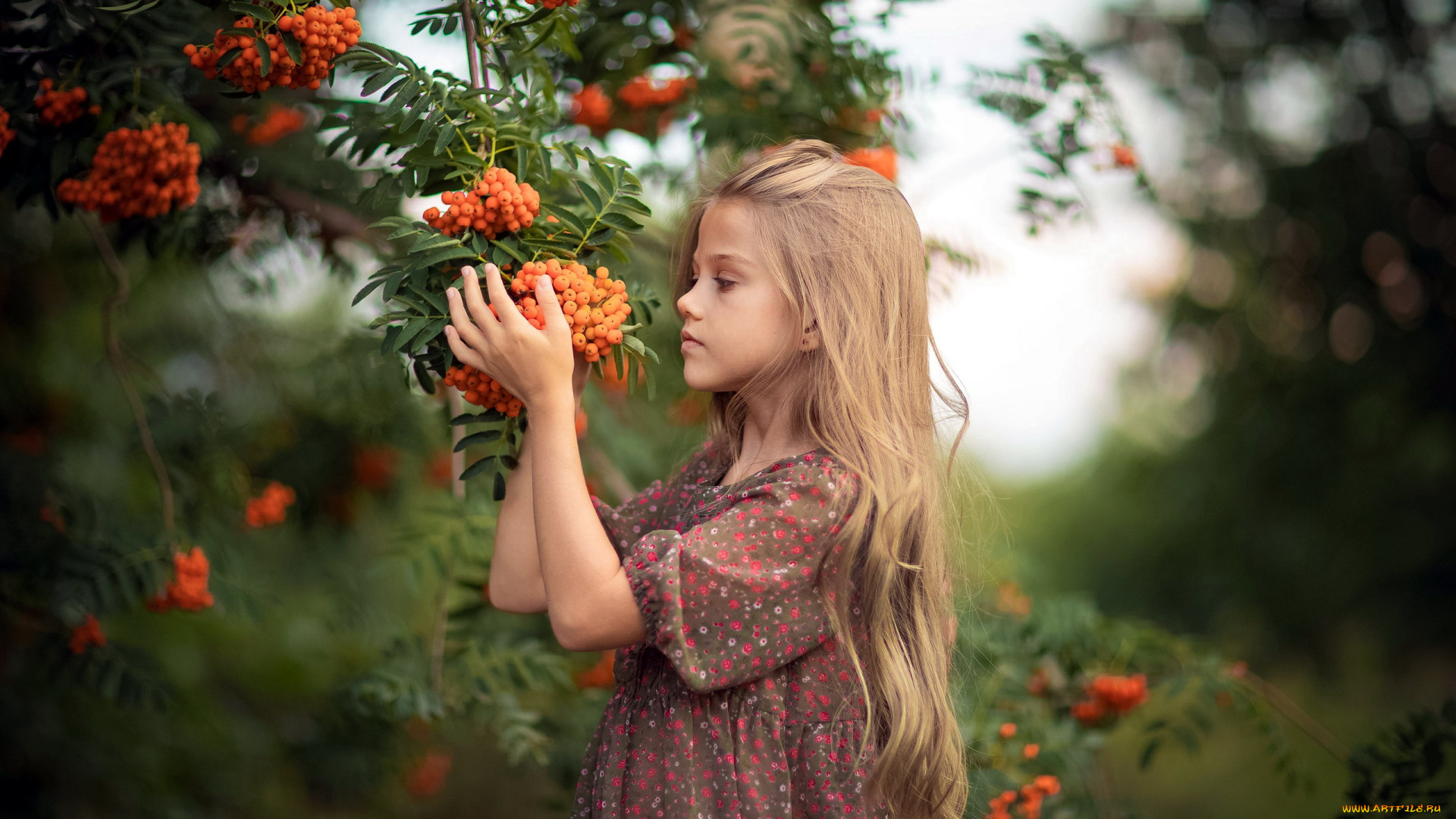 разное, настроения, девочка, рябина