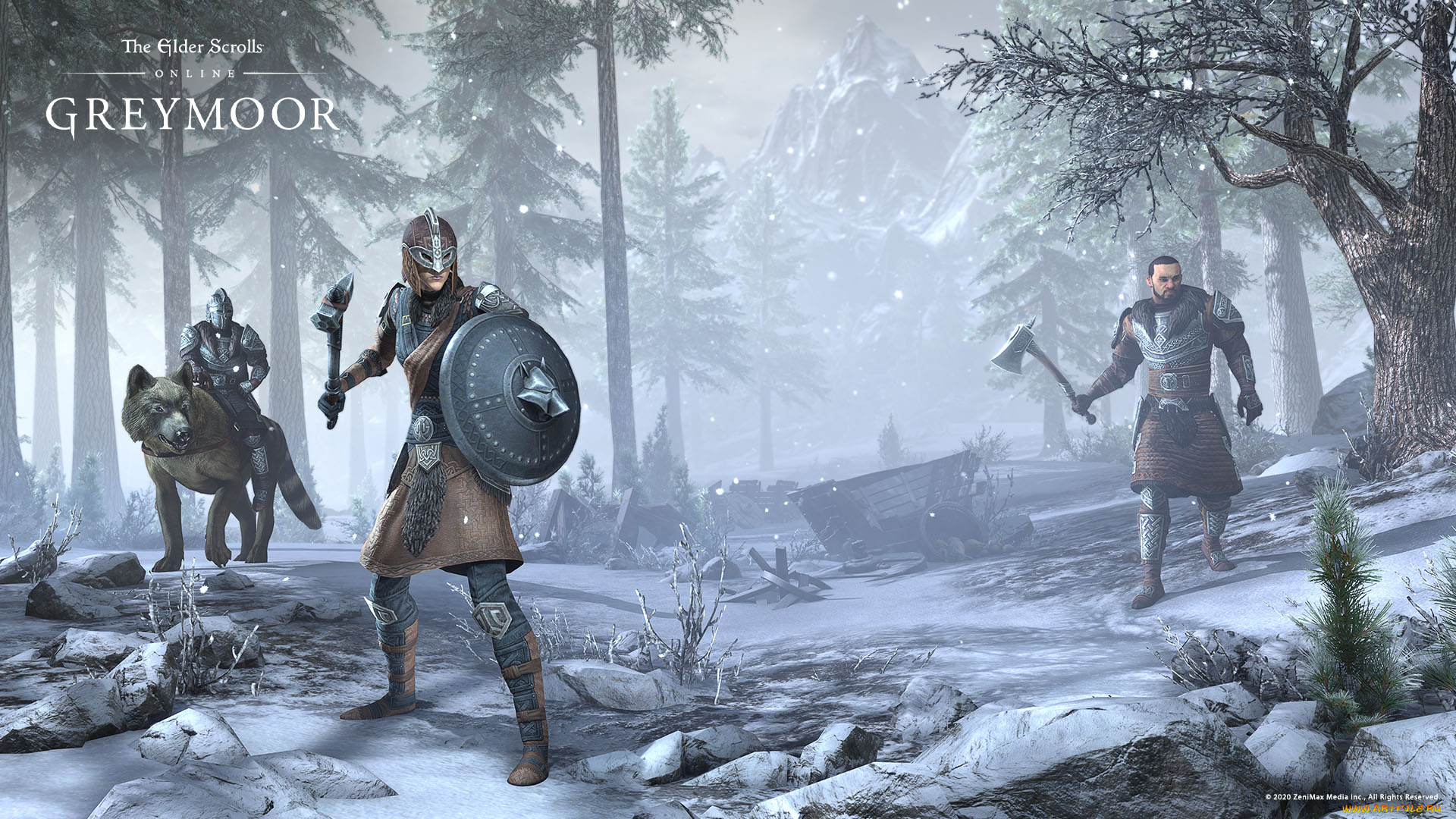 видео, игры, the, elder, scrolls, online, the, elder, scrolls, online, игра, ролевая, онлайн