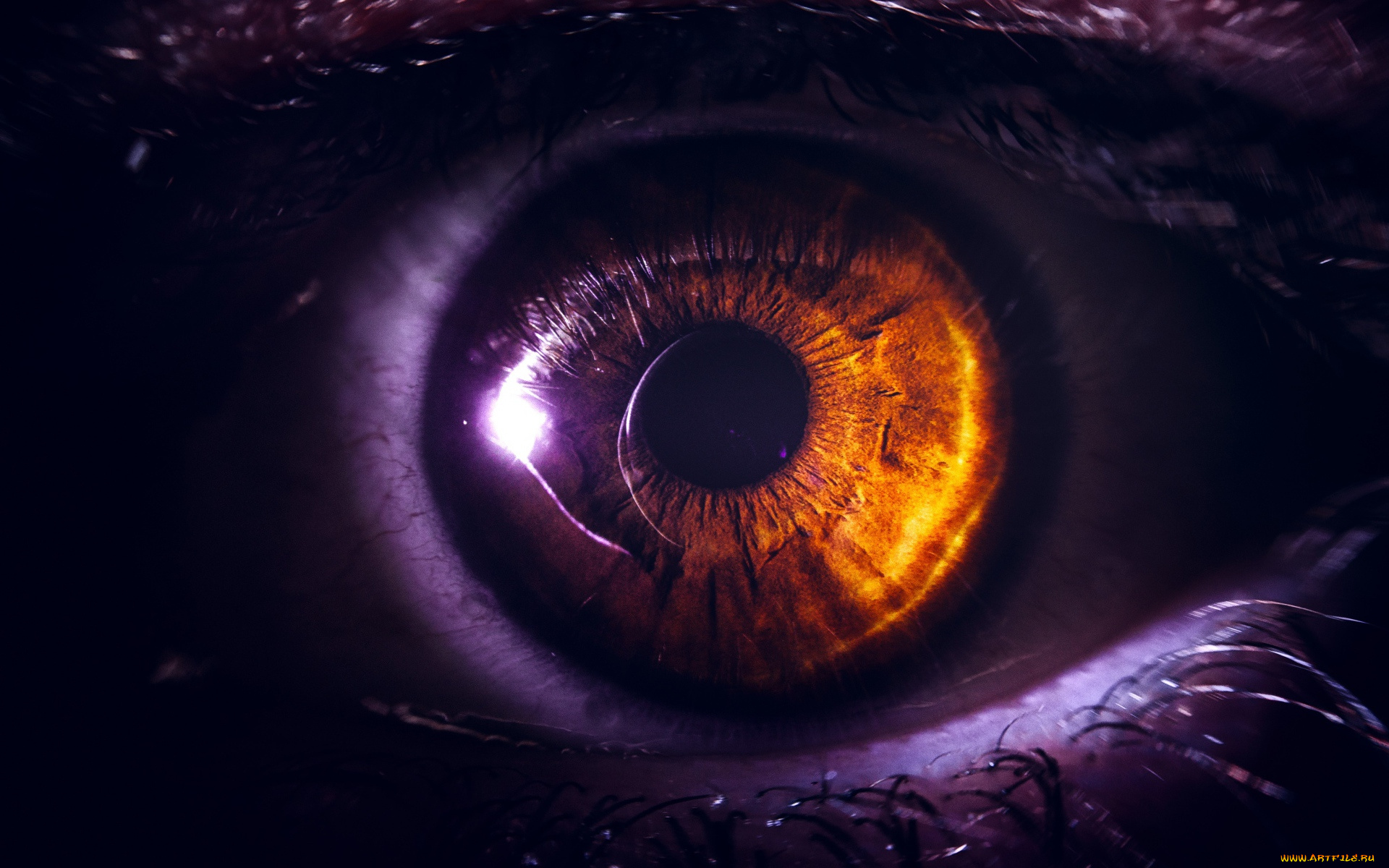 разное, глаза, глаз