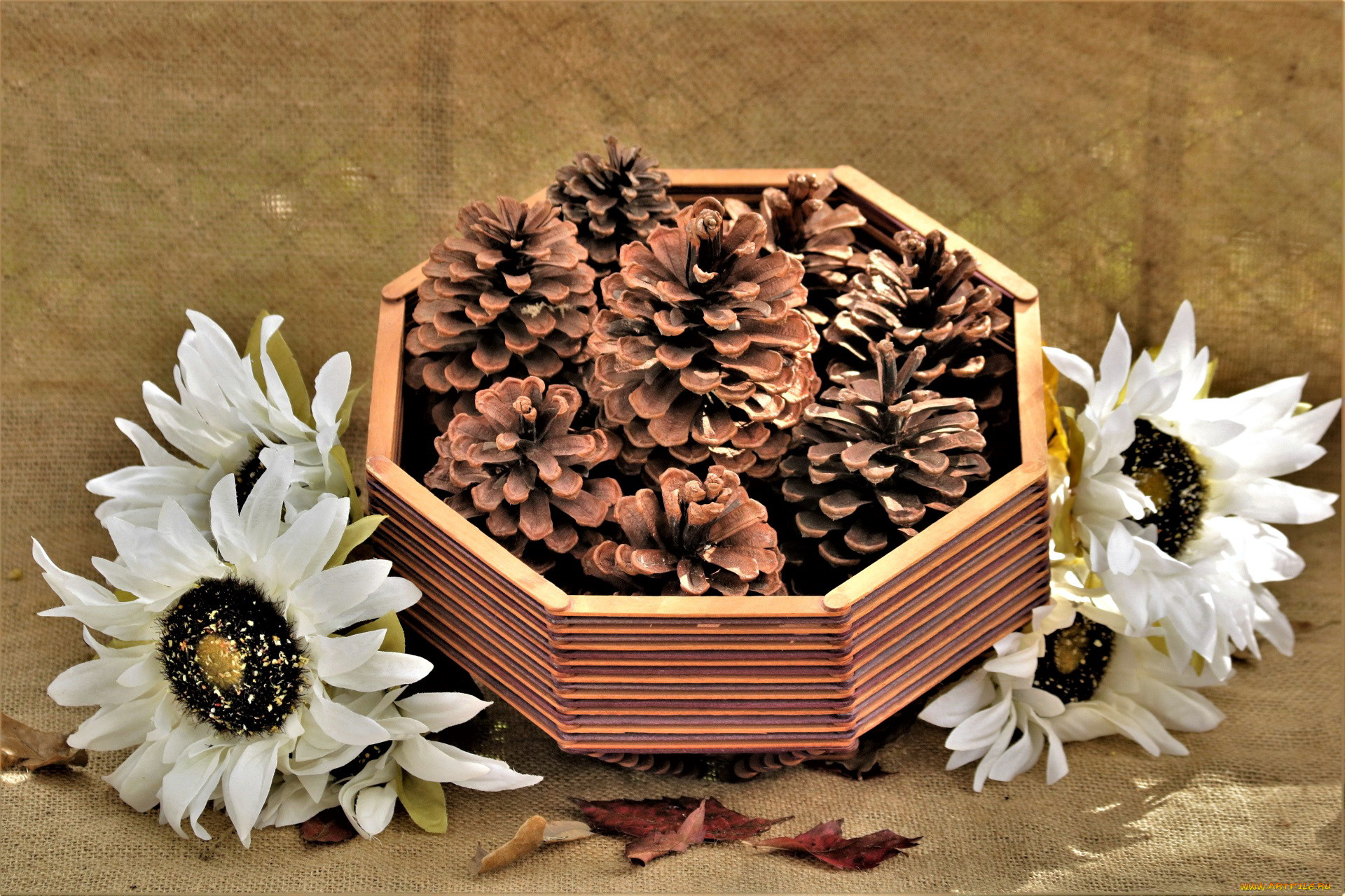 разное, -, другое, шишки