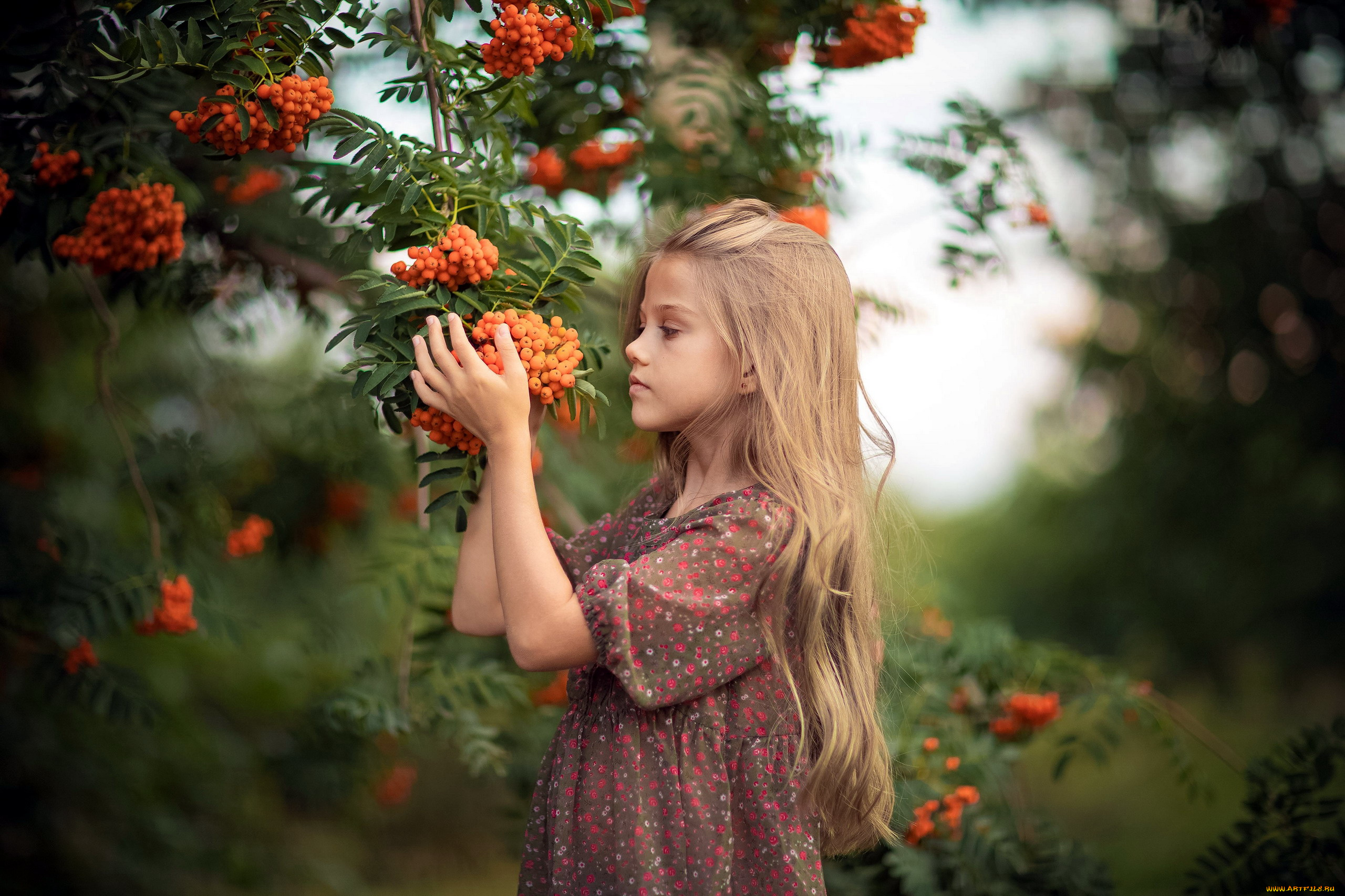 разное, настроения, девочка, рябина