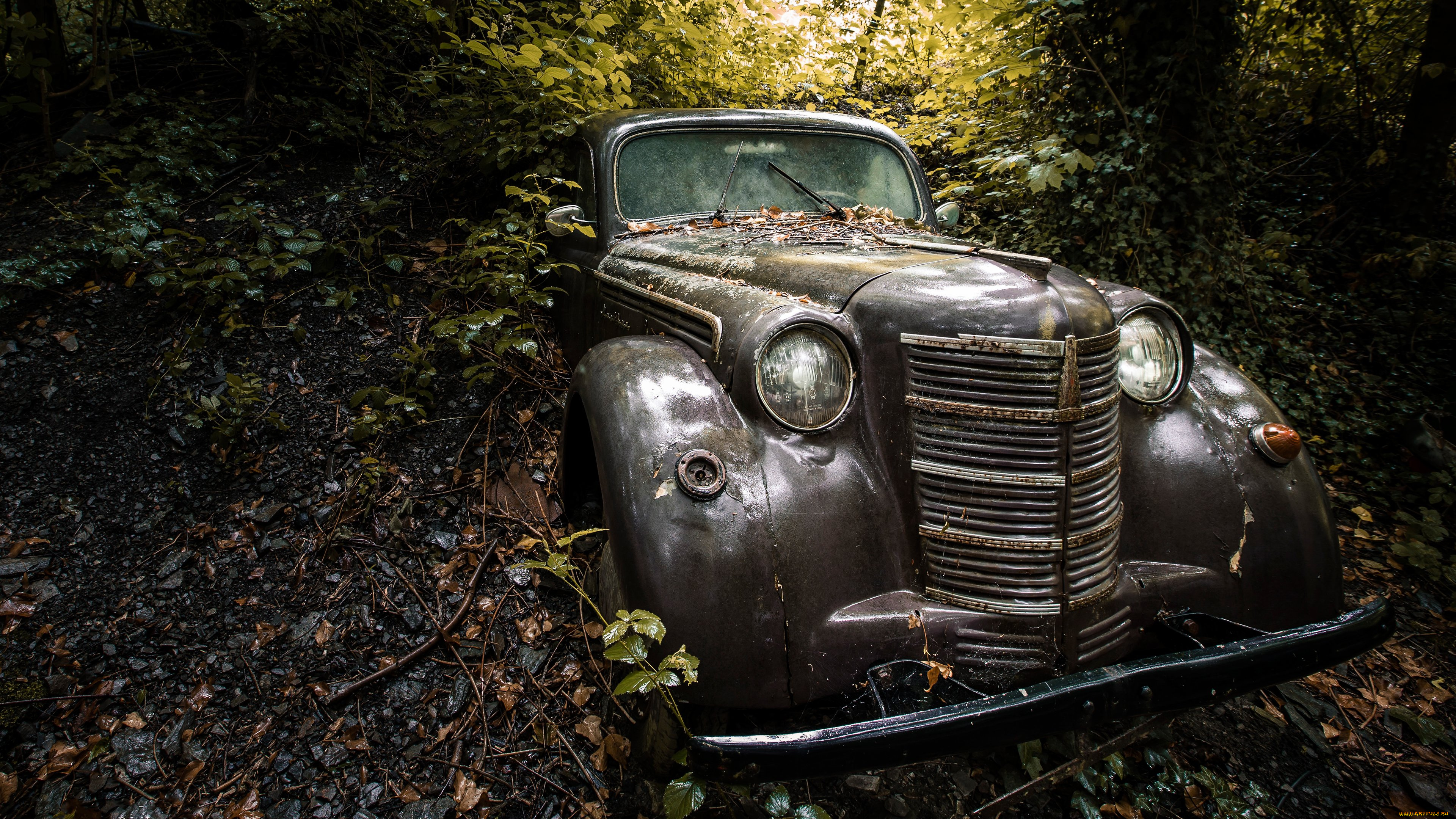 автомобили, москвич, москвич-401