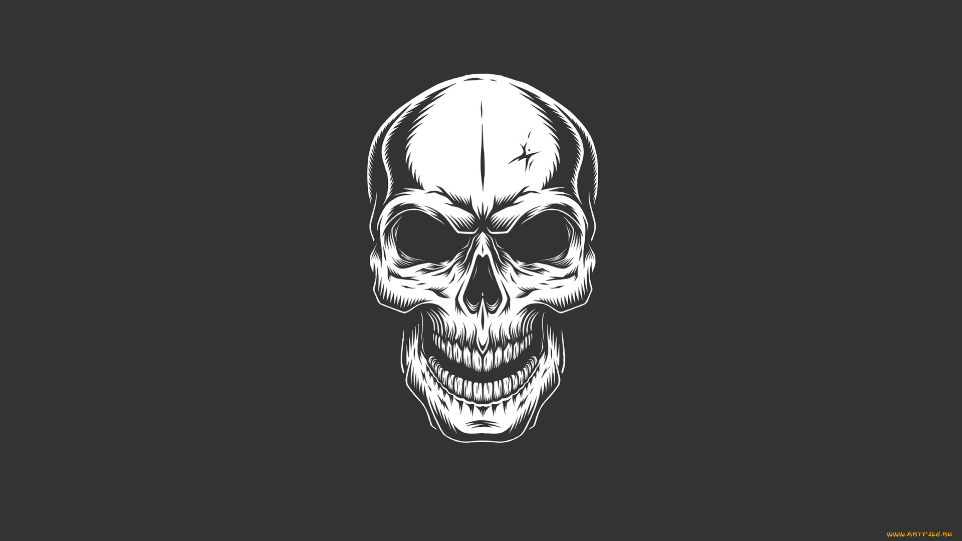 рисованное, минимализм, череп