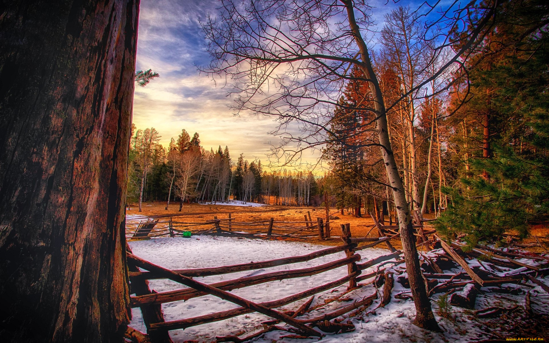 природа, лес, деревья, осень, снег, ограда