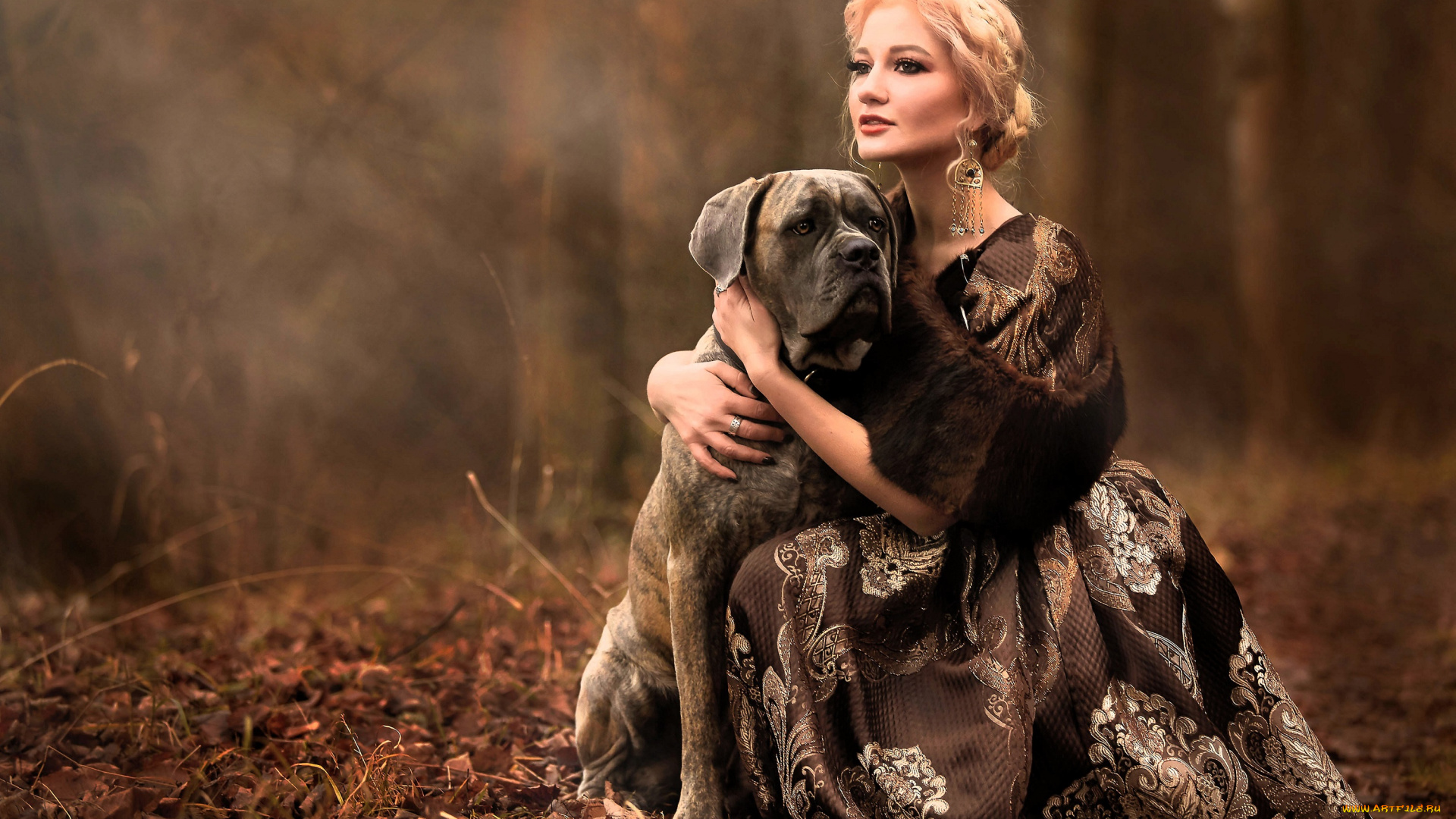 девушки, -, блондинки, , светловолосые, блондинка, платье, собака, лес, листья, осень